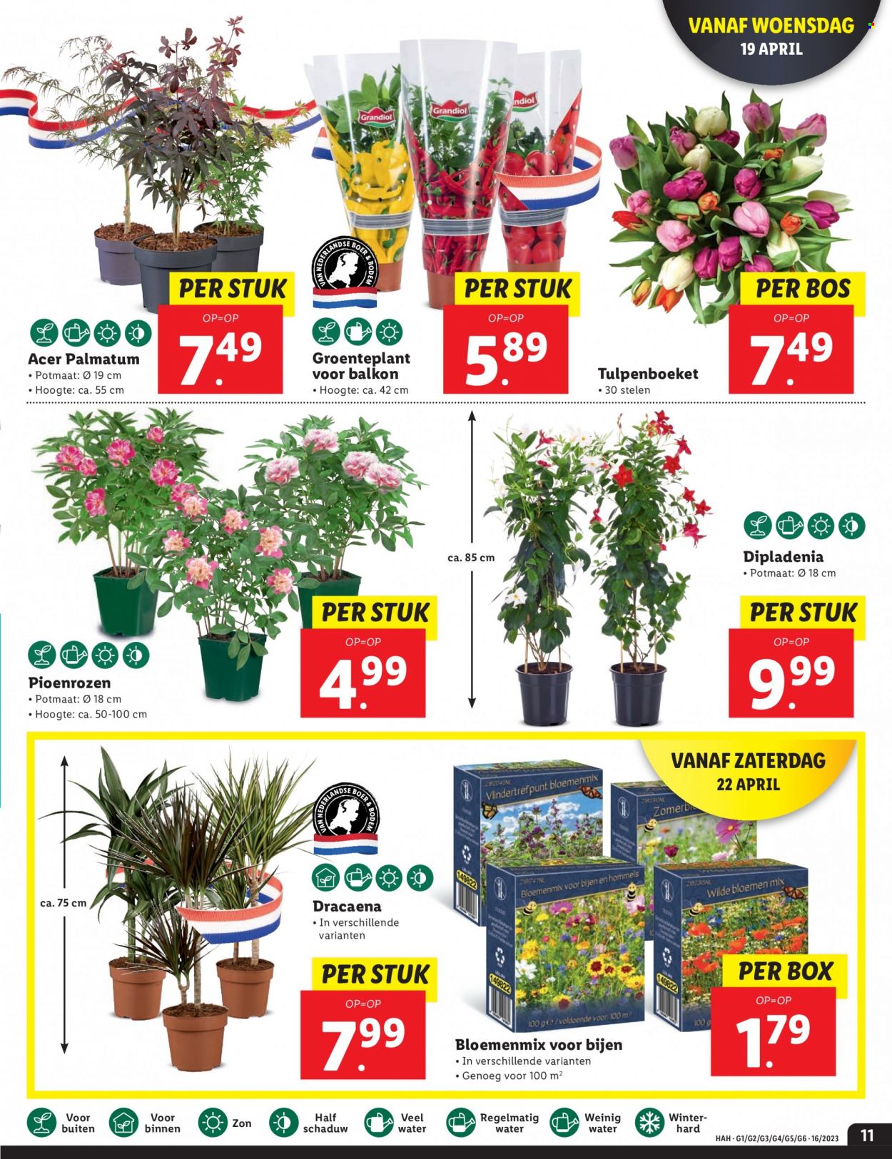 Lidl-aanbieding - 17-4-2023 - 23-4-2023. Pagina 11
