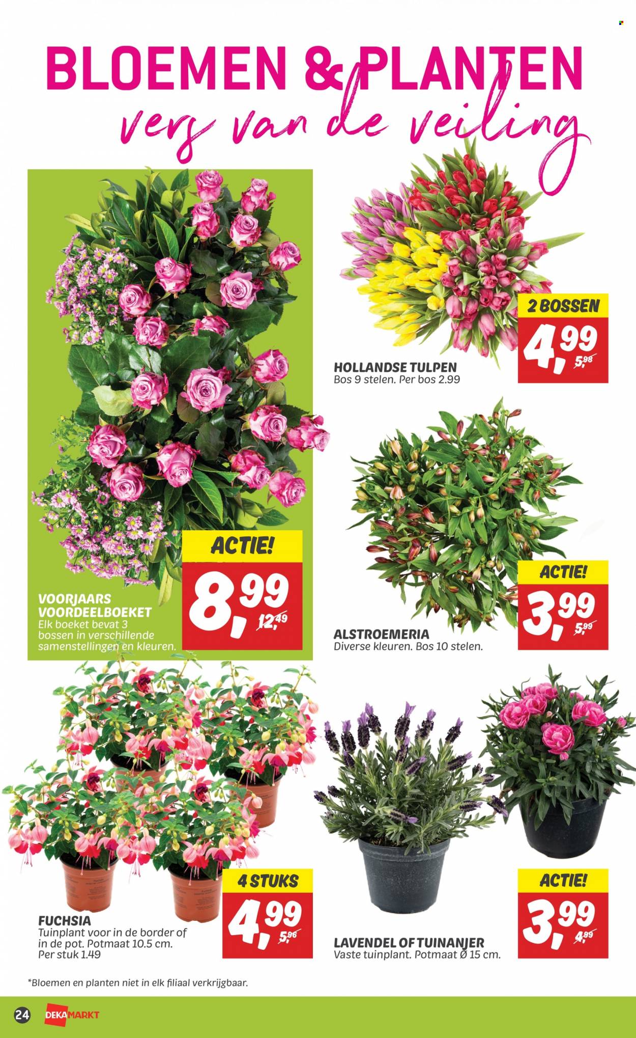 DekaMarkt-aanbieding - 16-4-2023 - 22-4-2023. Pagina 26