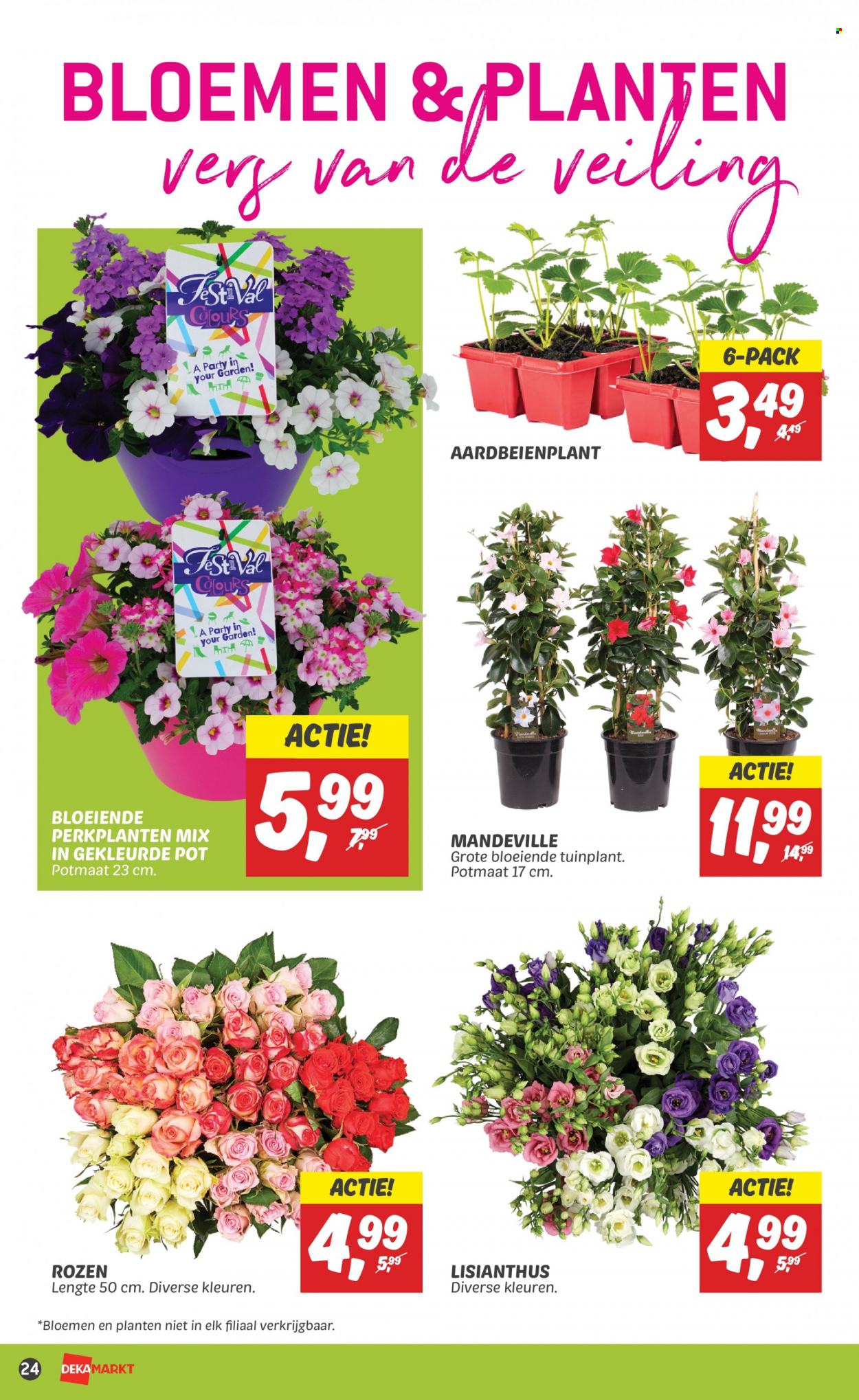 DekaMarkt-aanbieding - 30-4-2023 - 6-5-2023. Pagina 26