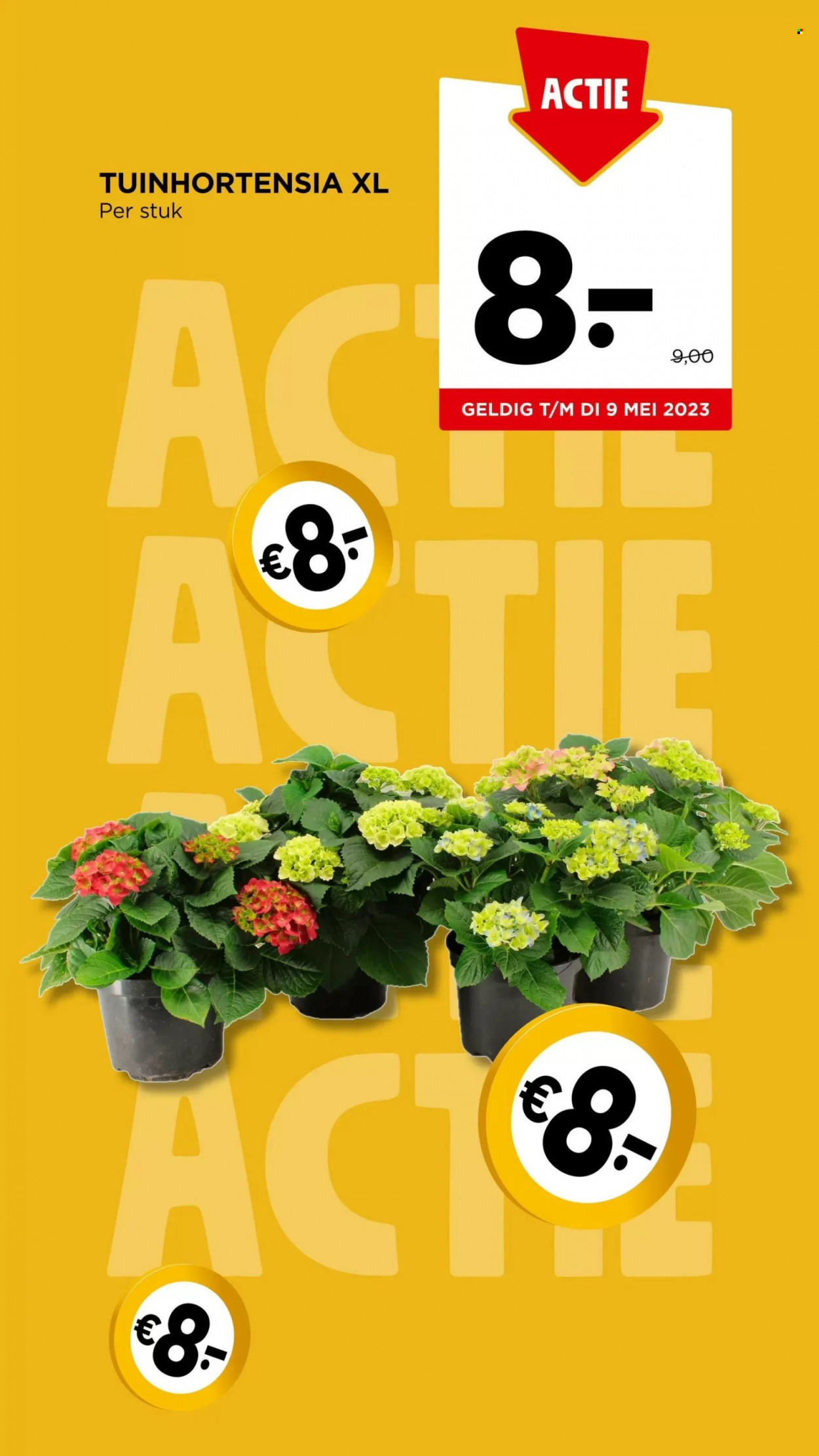 Jumbo-aanbieding - 3-5-2023 - 9-5-2023. Pagina 35