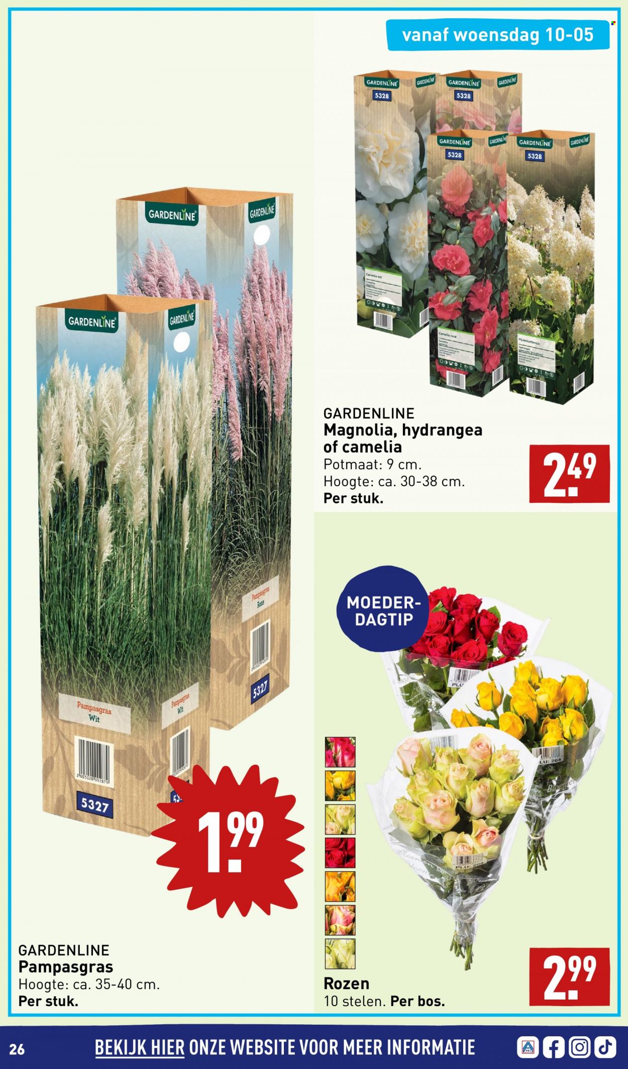 Aldi-aanbieding - 8-5-2023 - 14-5-2023. Pagina 26