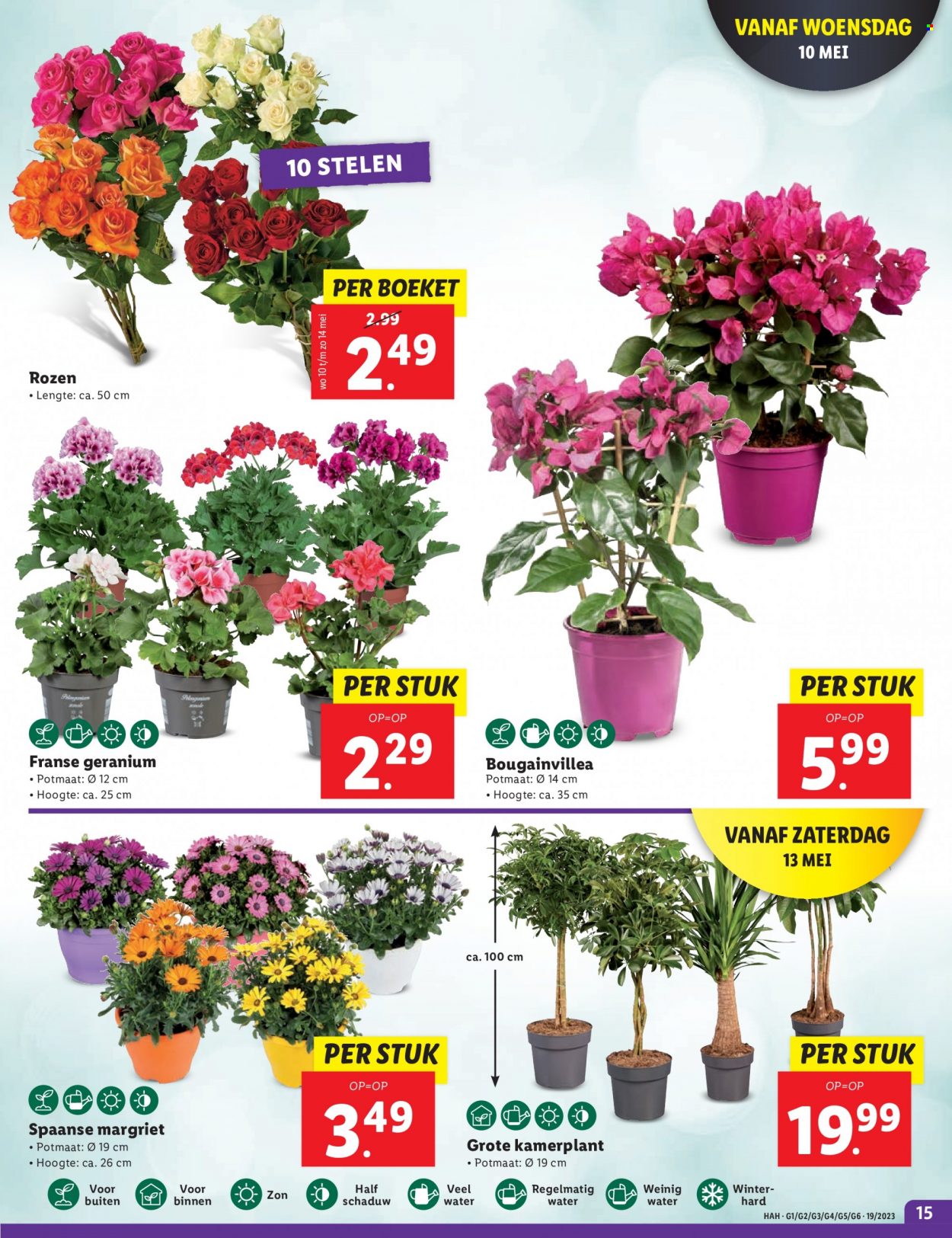 Lidl-aanbieding - 8-5-2023 - 14-5-2023. Pagina 15