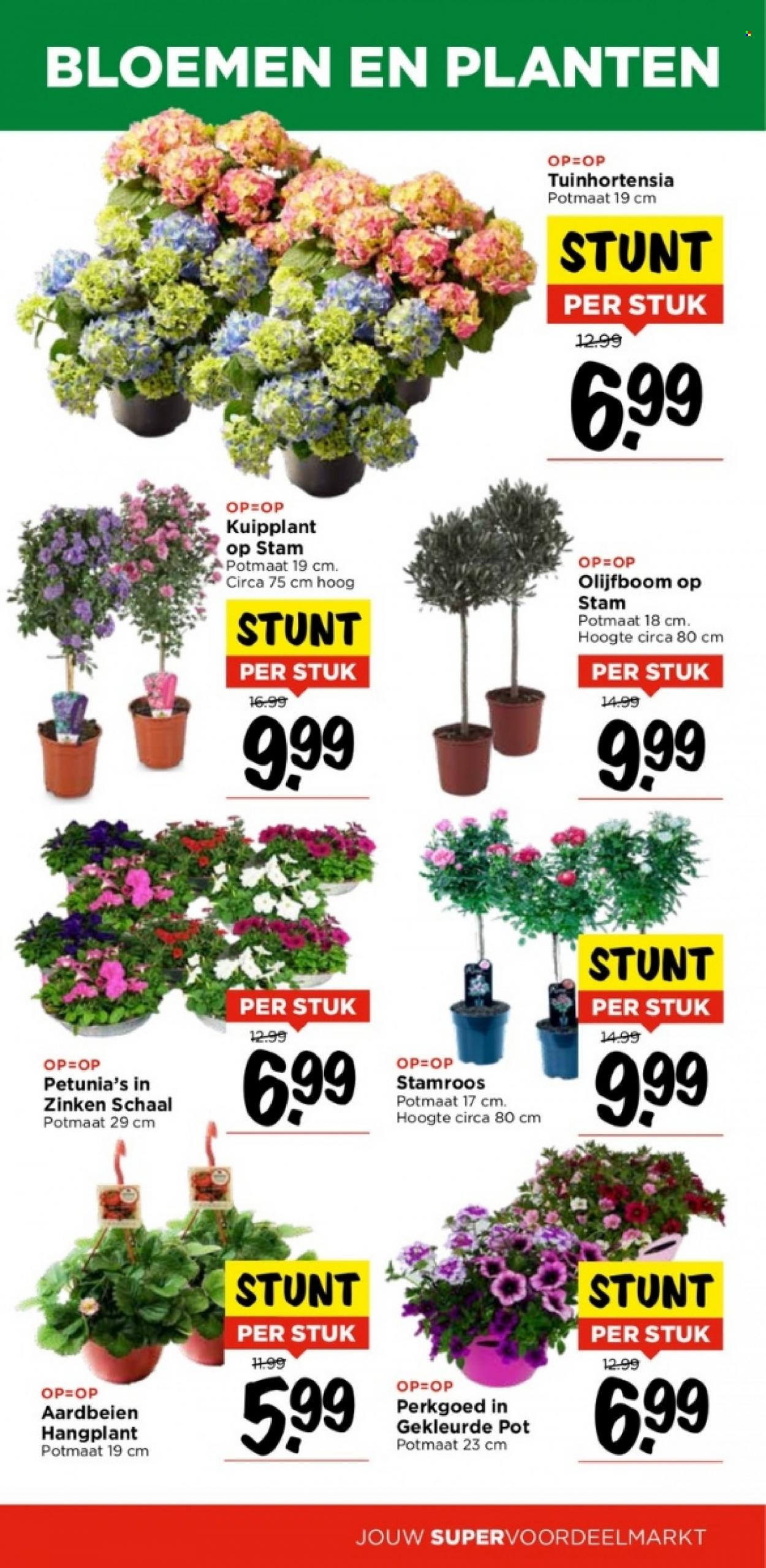 Vomar-aanbieding - 7-5-2023 - 13-5-2023. Pagina 30