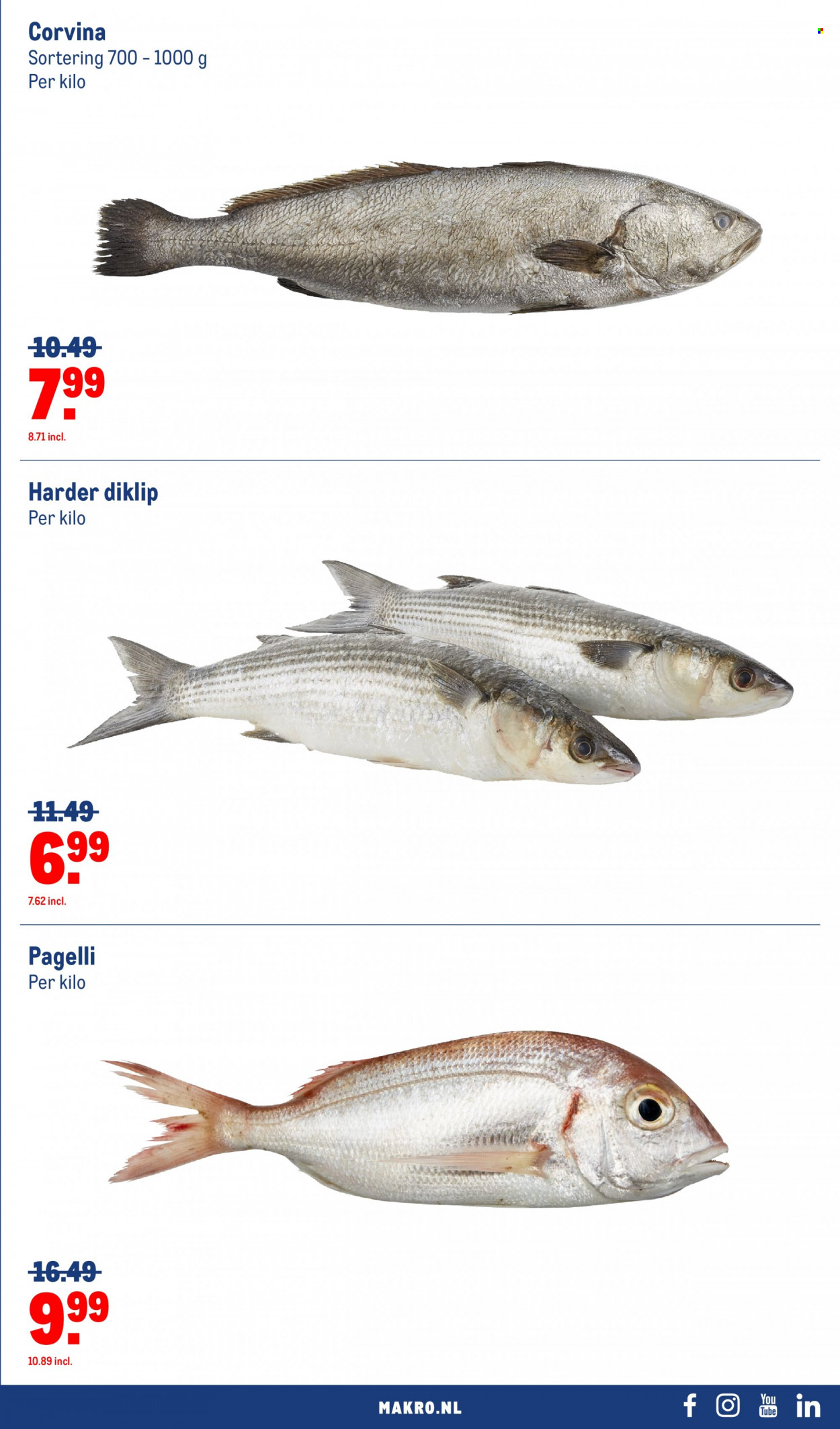 Makro-aanbieding - 10-5-2023 - 6-6-2023. Pagina 13