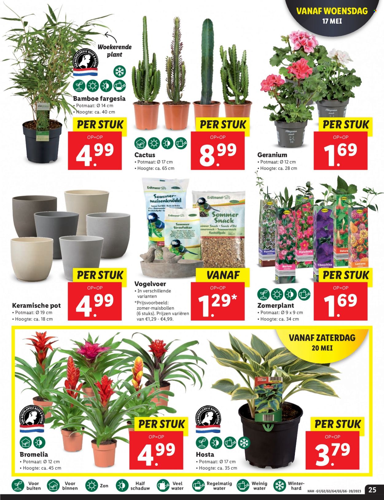 Lidl-aanbieding - 15-5-2023 - 21-5-2023. Pagina 25