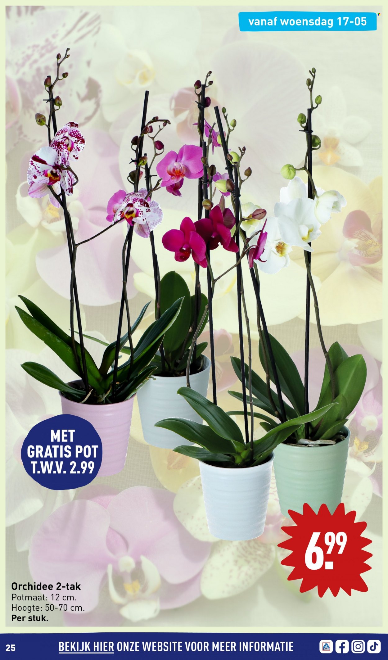 Aldi-aanbieding - 15-5-2023 - 21-5-2023. Pagina 25