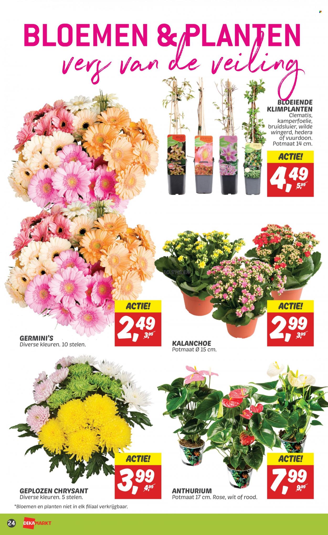 DekaMarkt-aanbieding - 14-5-2023 - 20-5-2023. Pagina 24