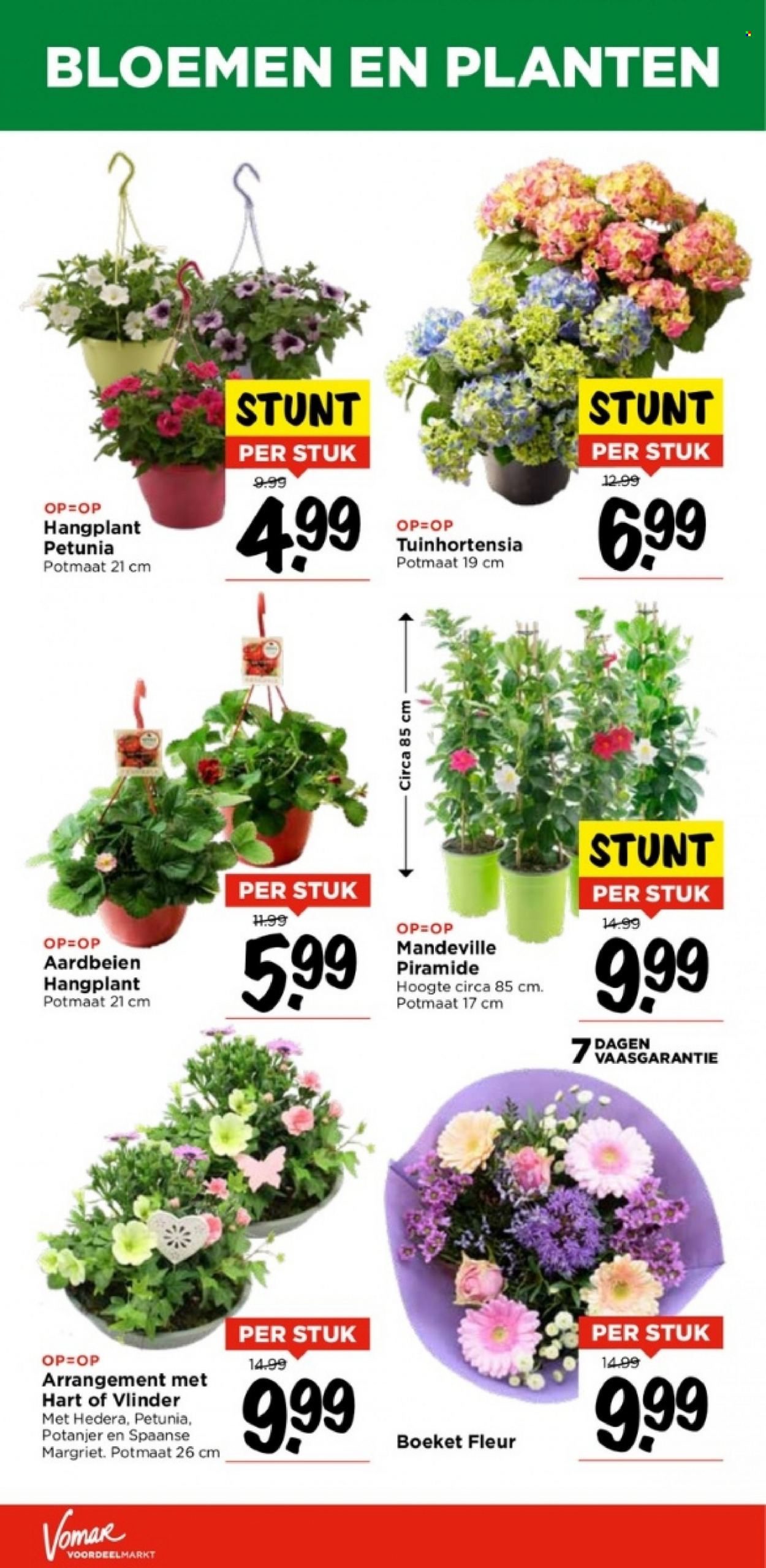 Vomar-aanbieding - 14-5-2023 - 20-5-2023. Pagina 27