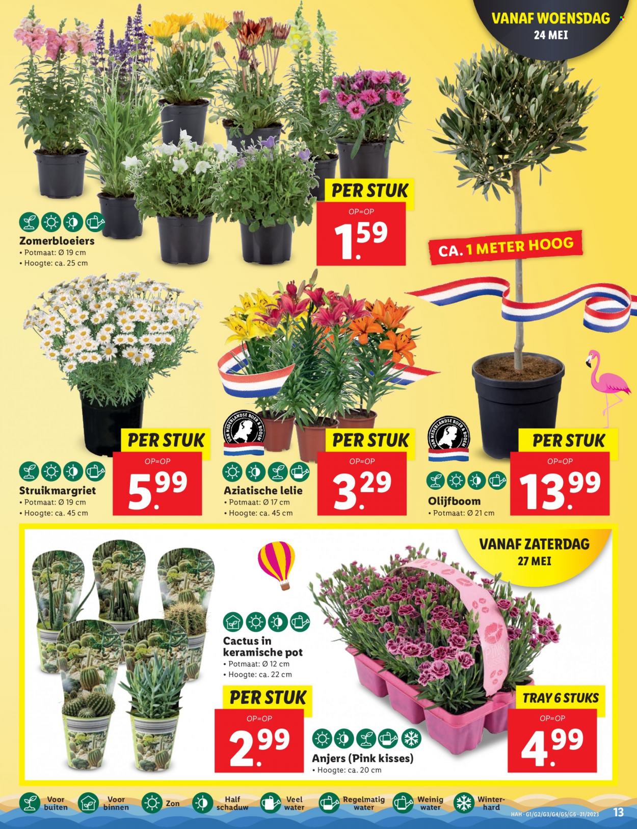 Lidl-aanbieding - 22-5-2023 - 29-5-2023. Pagina 13