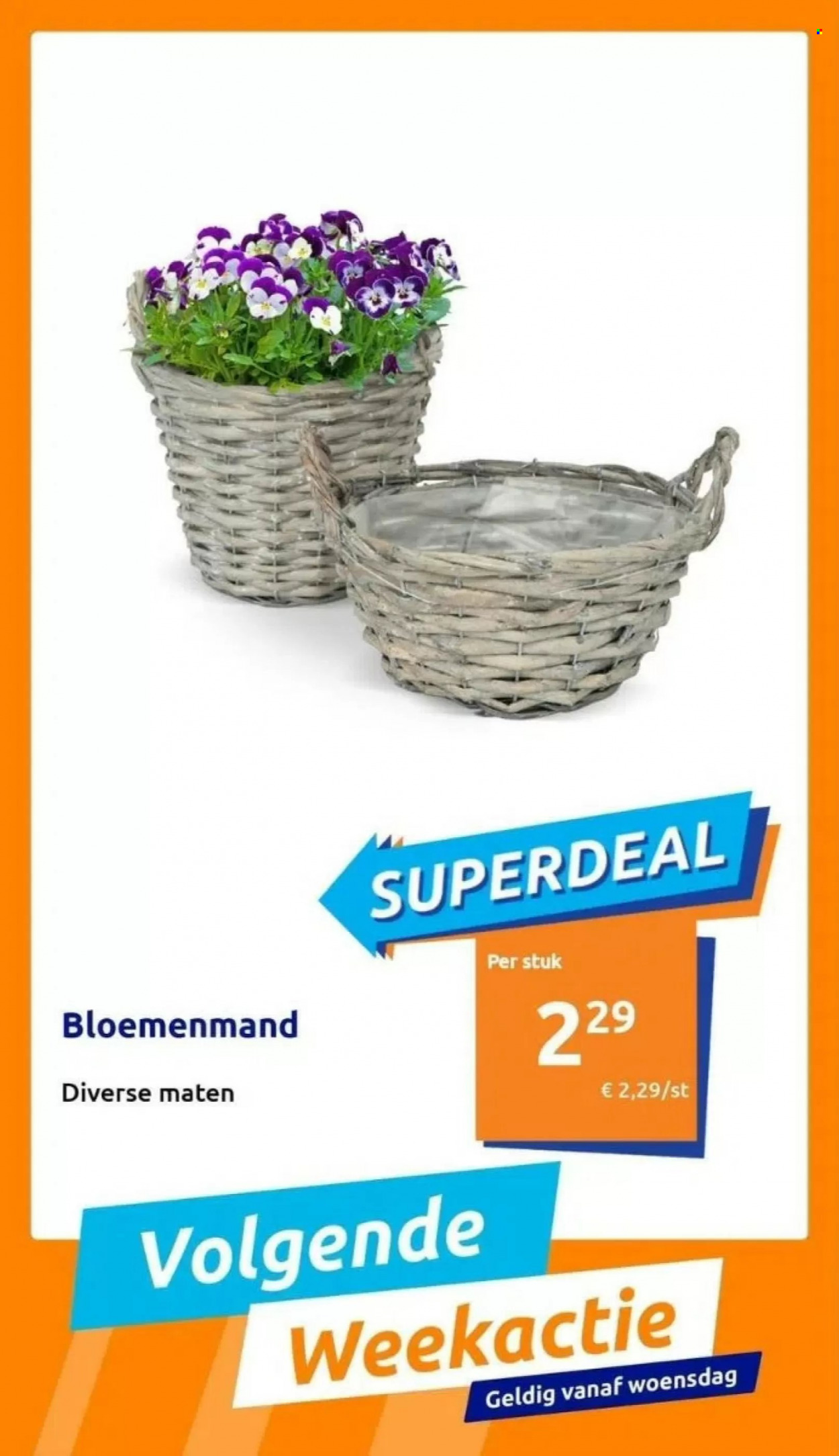 Action-aanbieding. Pagina 7