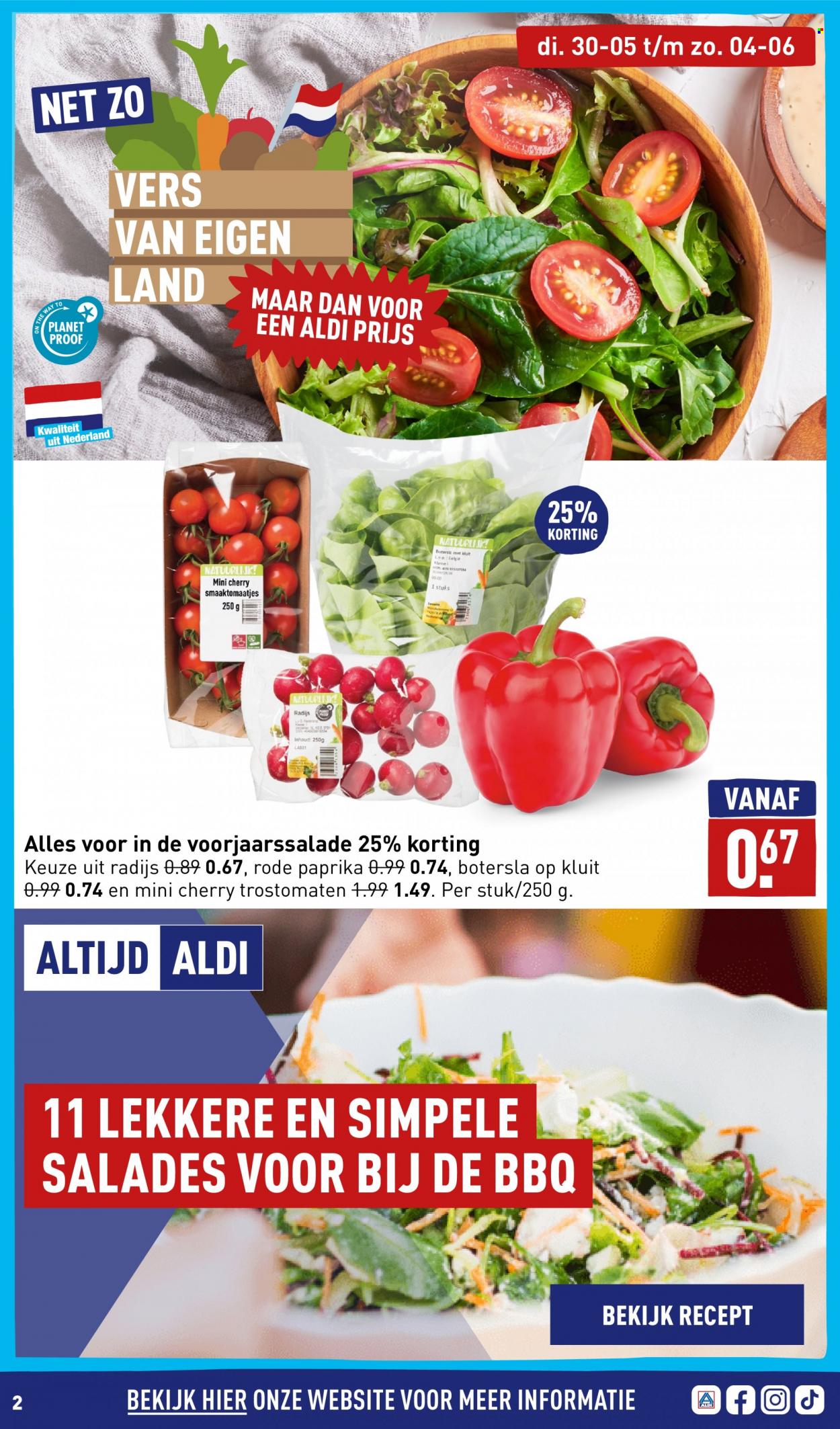 Aldi-aanbieding - 30-5-2023 - 4-6-2023 -  producten in de aanbieding - radijs, rode paprika, tomaten, trostomaat, BBQ. Pagina 2.