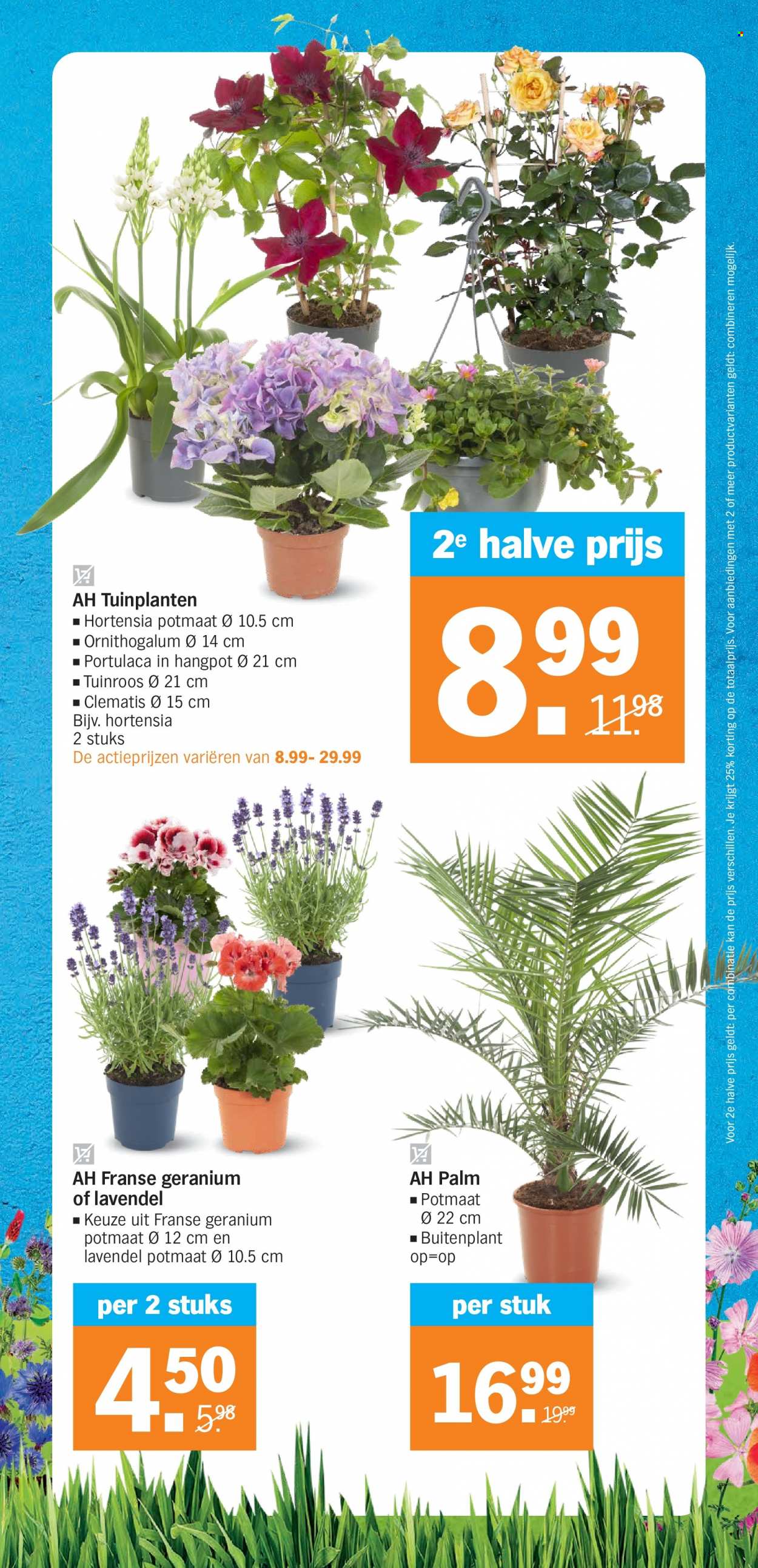 Albert Heijn-aanbieding - 30-5-2023 - 4-6-2023. Pagina 25