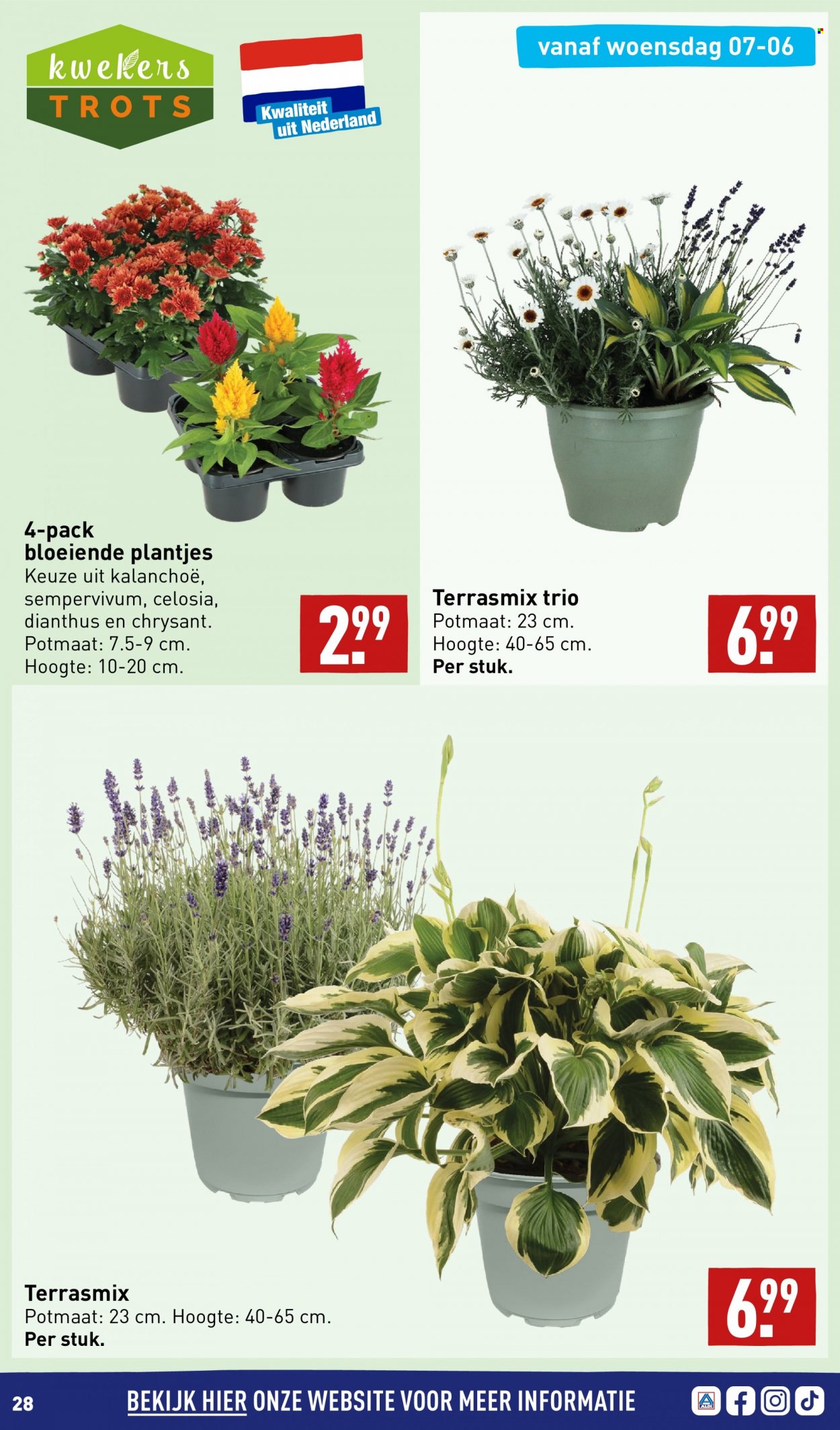 Aldi-aanbieding - 5-6-2023 - 11-6-2023. Pagina 28