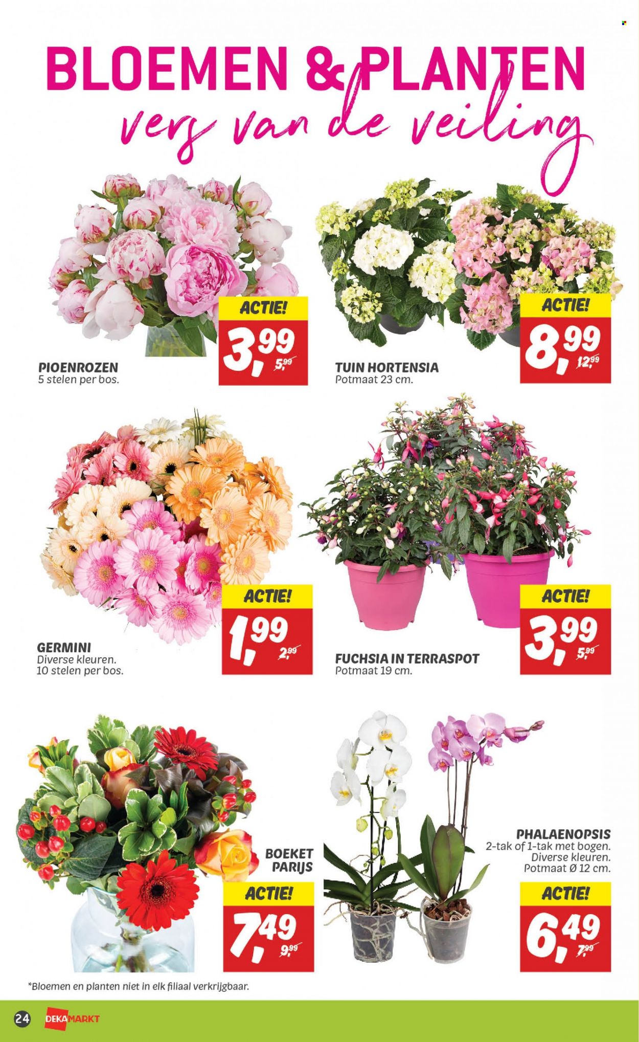 DekaMarkt-aanbieding - 4-6-2023 - 10-6-2023. Pagina 24