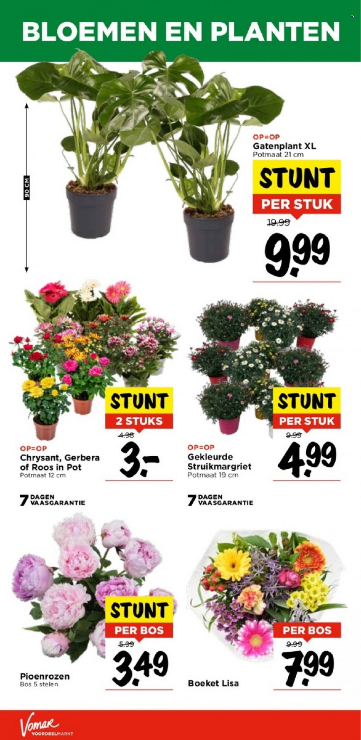 Vomar-aanbieding - 4-6-2023 - 10-6-2023. Pagina 25