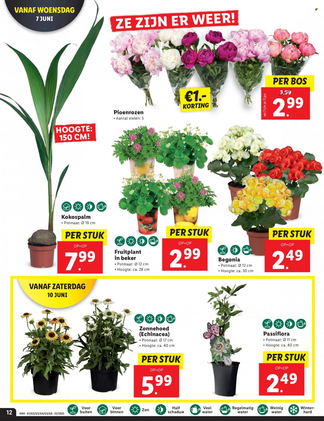 Lidl-aanbieding - 5-6-2023 - 11-6-2023. Pagina 12