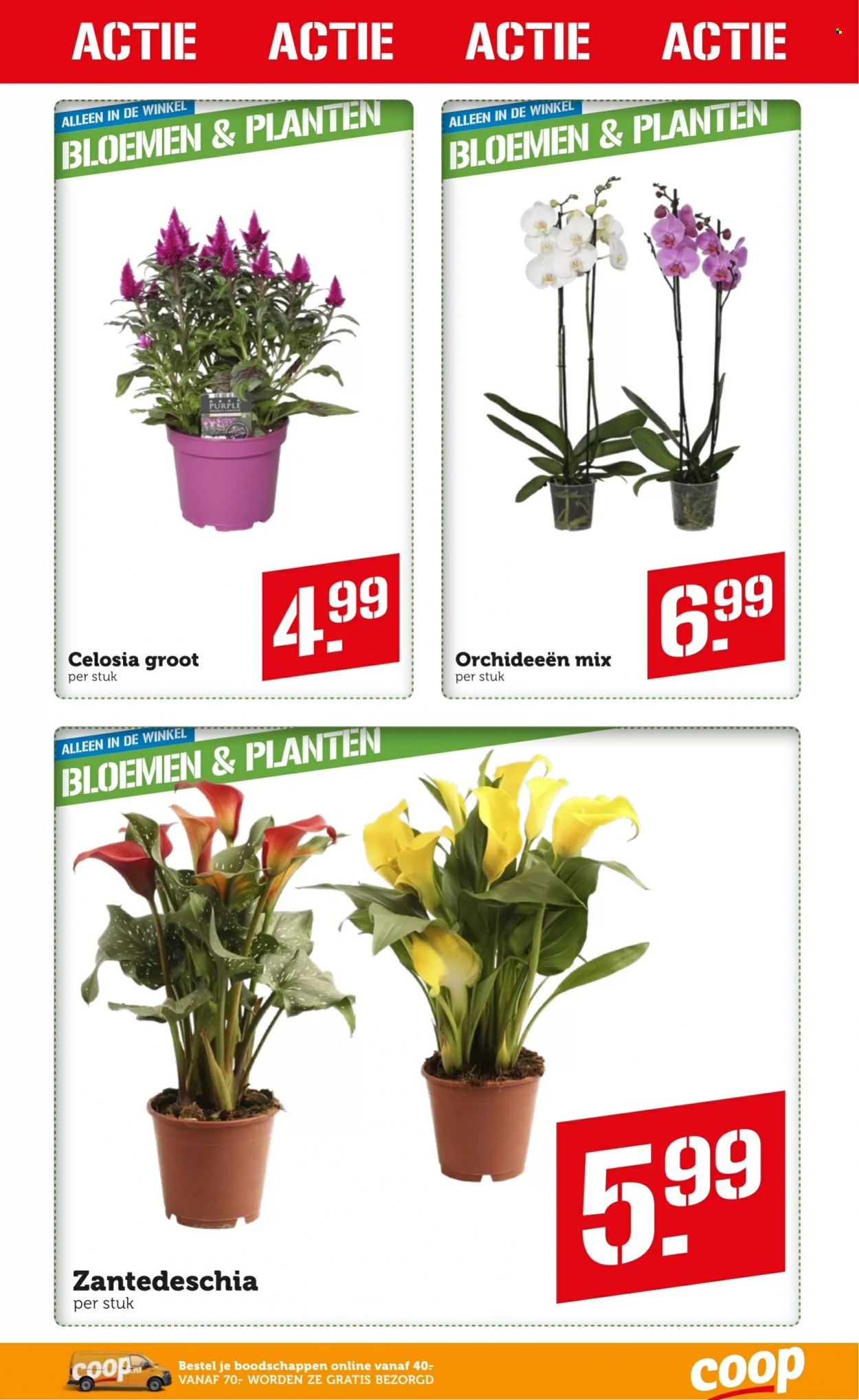 Coop-aanbieding - 12-6-2023 - 18-6-2023. Pagina 29
