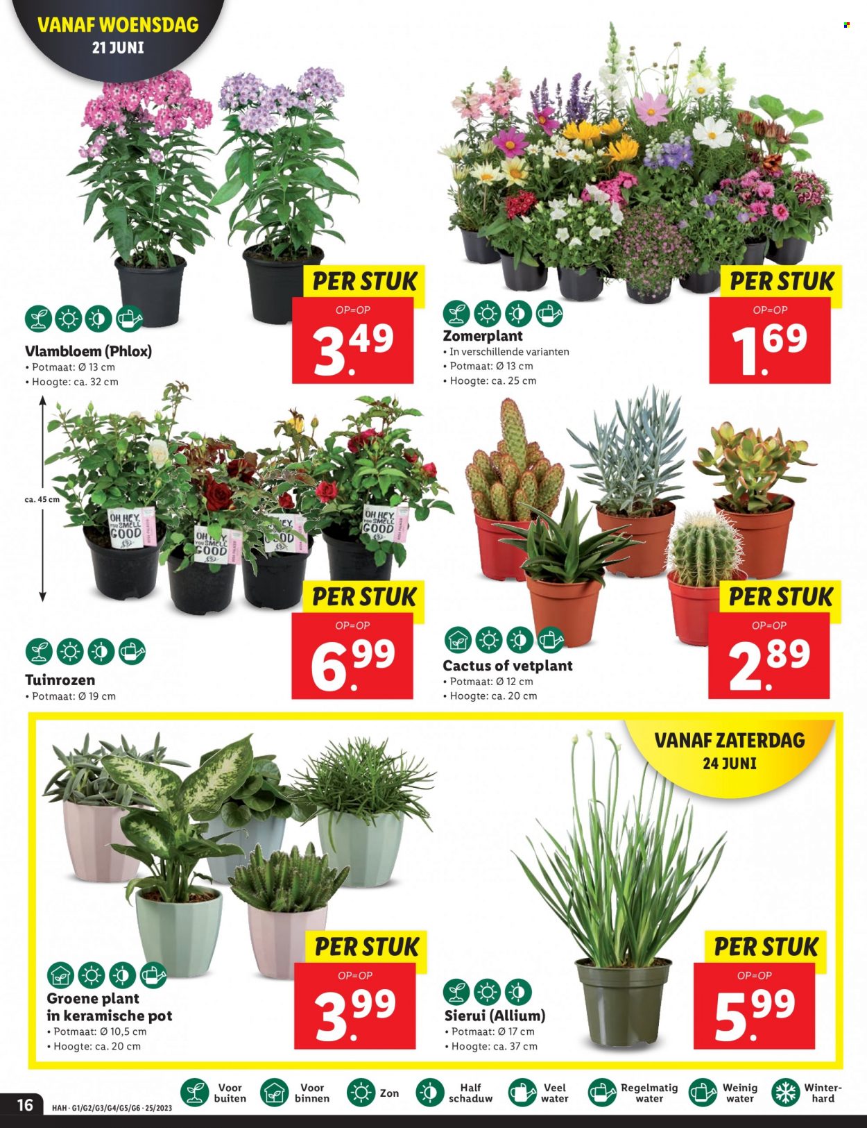Lidl-aanbieding - 19-6-2023 - 25-6-2023. Pagina 16