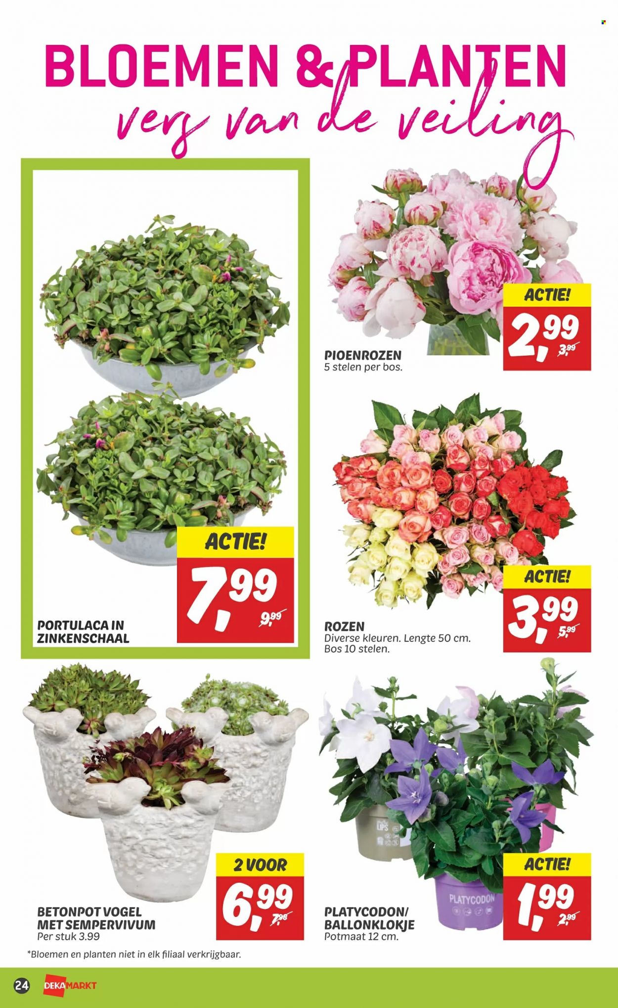 DekaMarkt-aanbieding - 18-6-2023 - 24-6-2023. Pagina 24