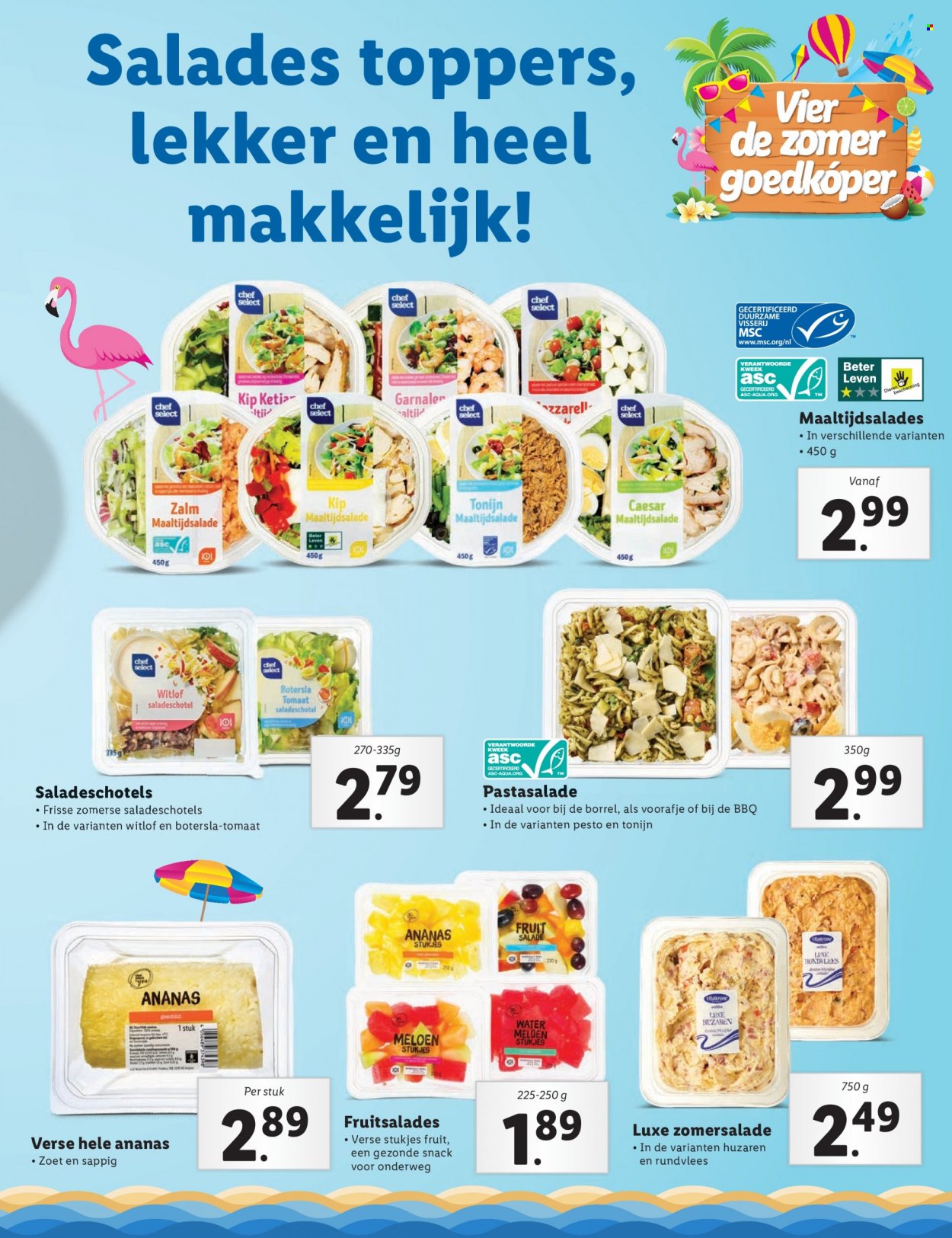 Lidl-aanbieding. Pagina 7