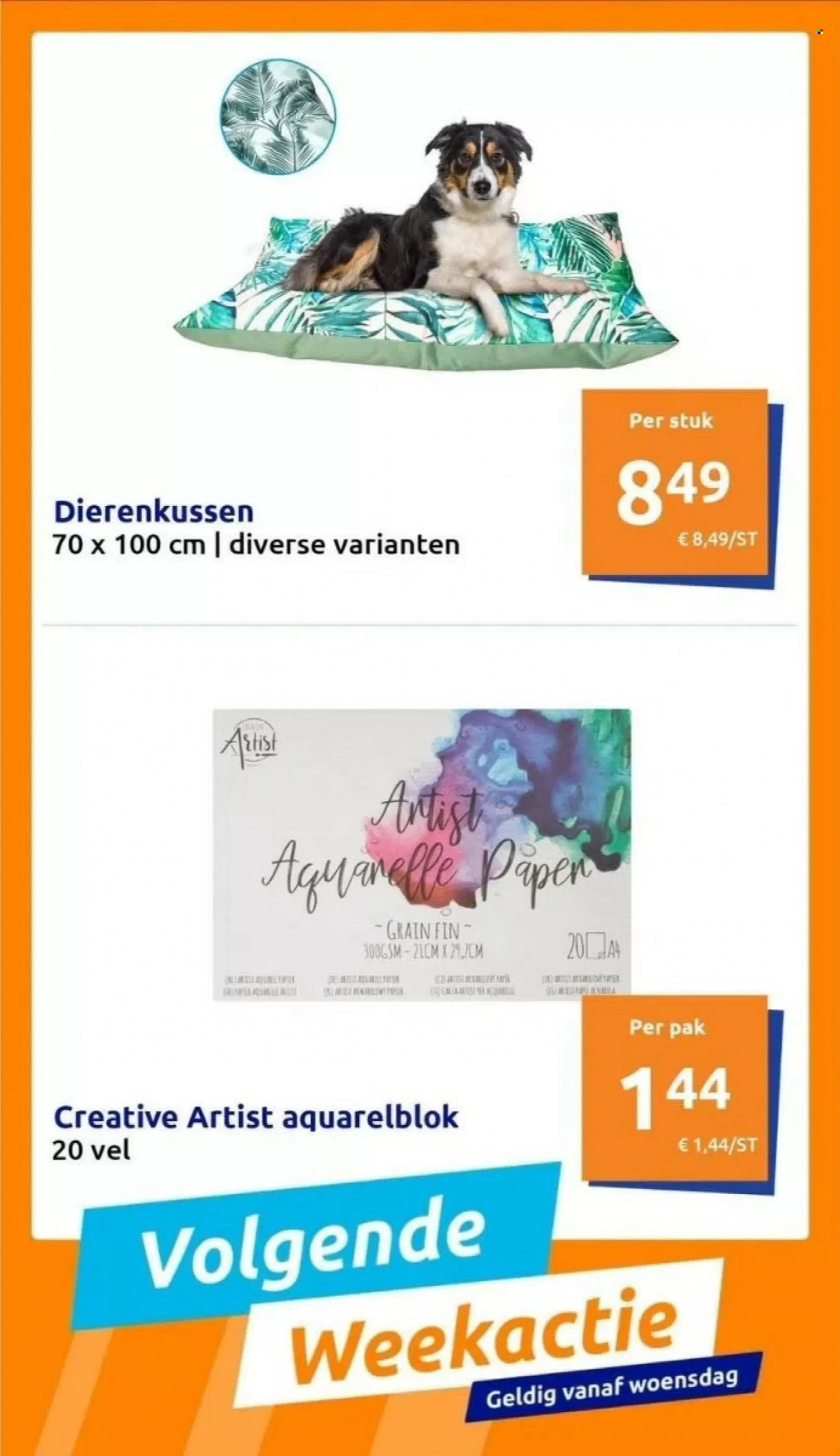 Action-aanbieding. Pagina 11
