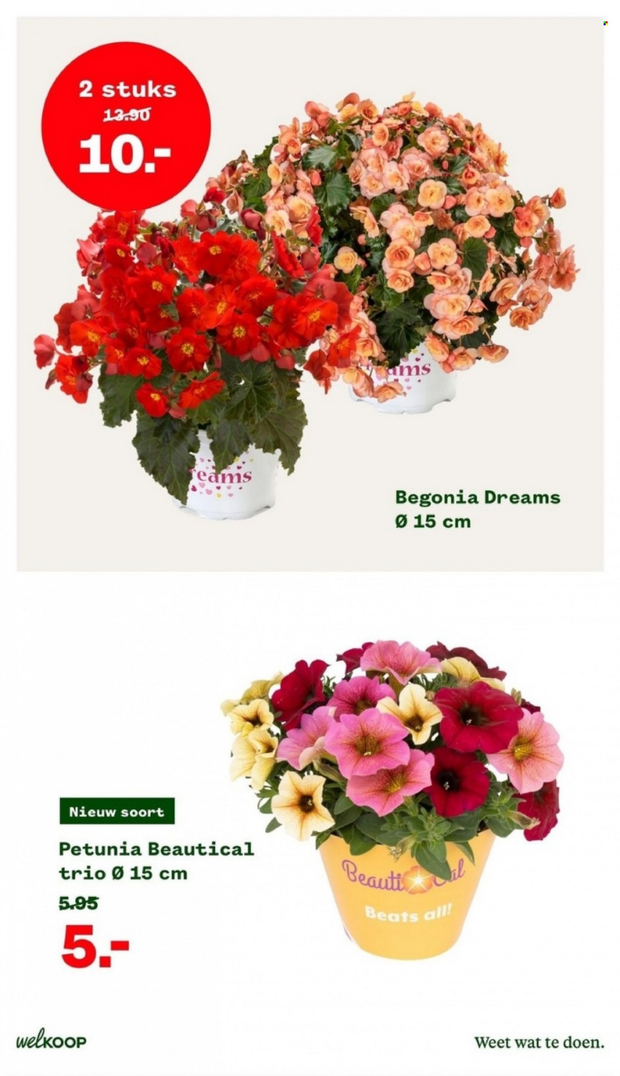Welkoop-aanbieding - 19-6-2023 - 2-7-2023. Pagina 11