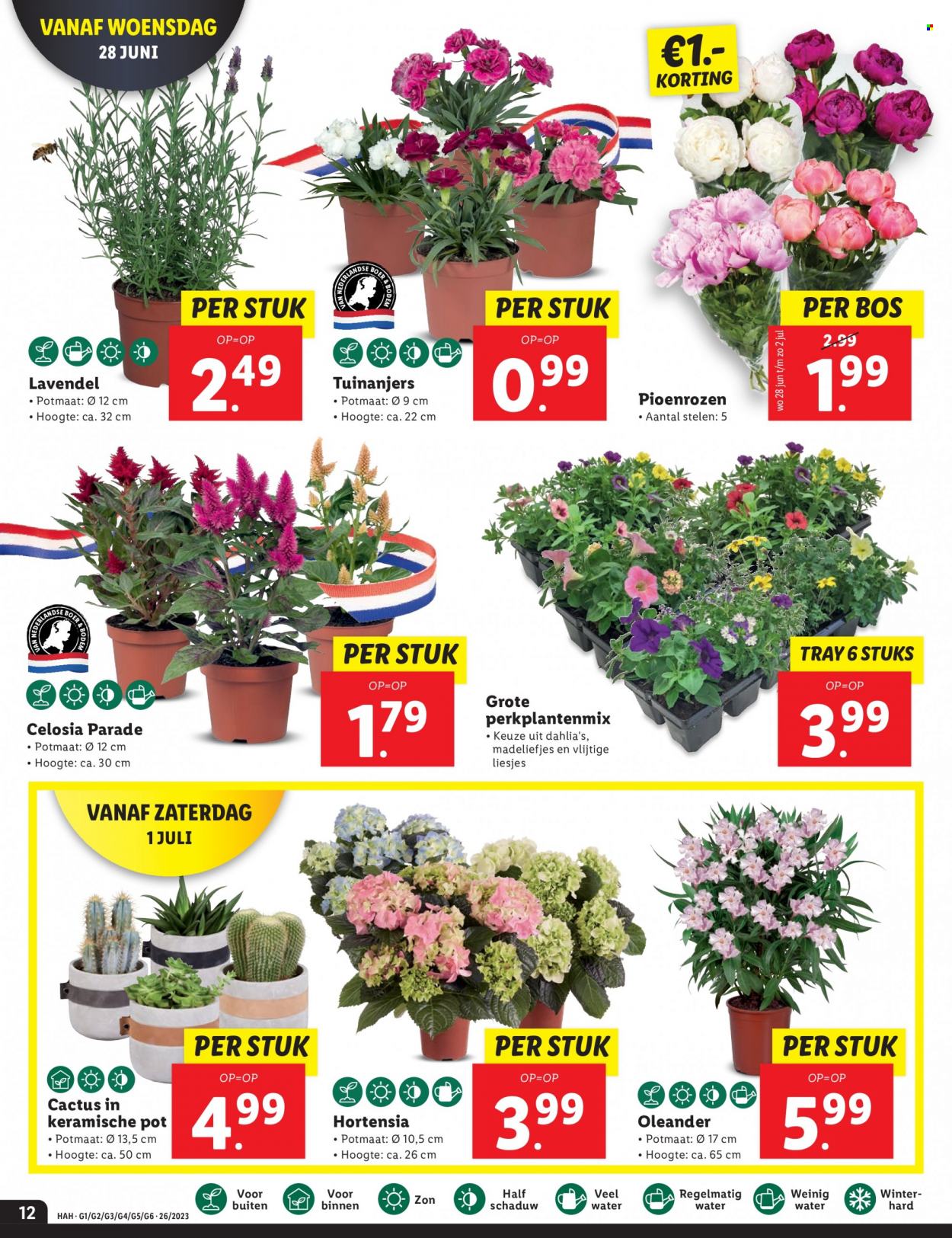 Lidl-aanbieding - 26-6-2023 - 2-7-2023. Pagina 12