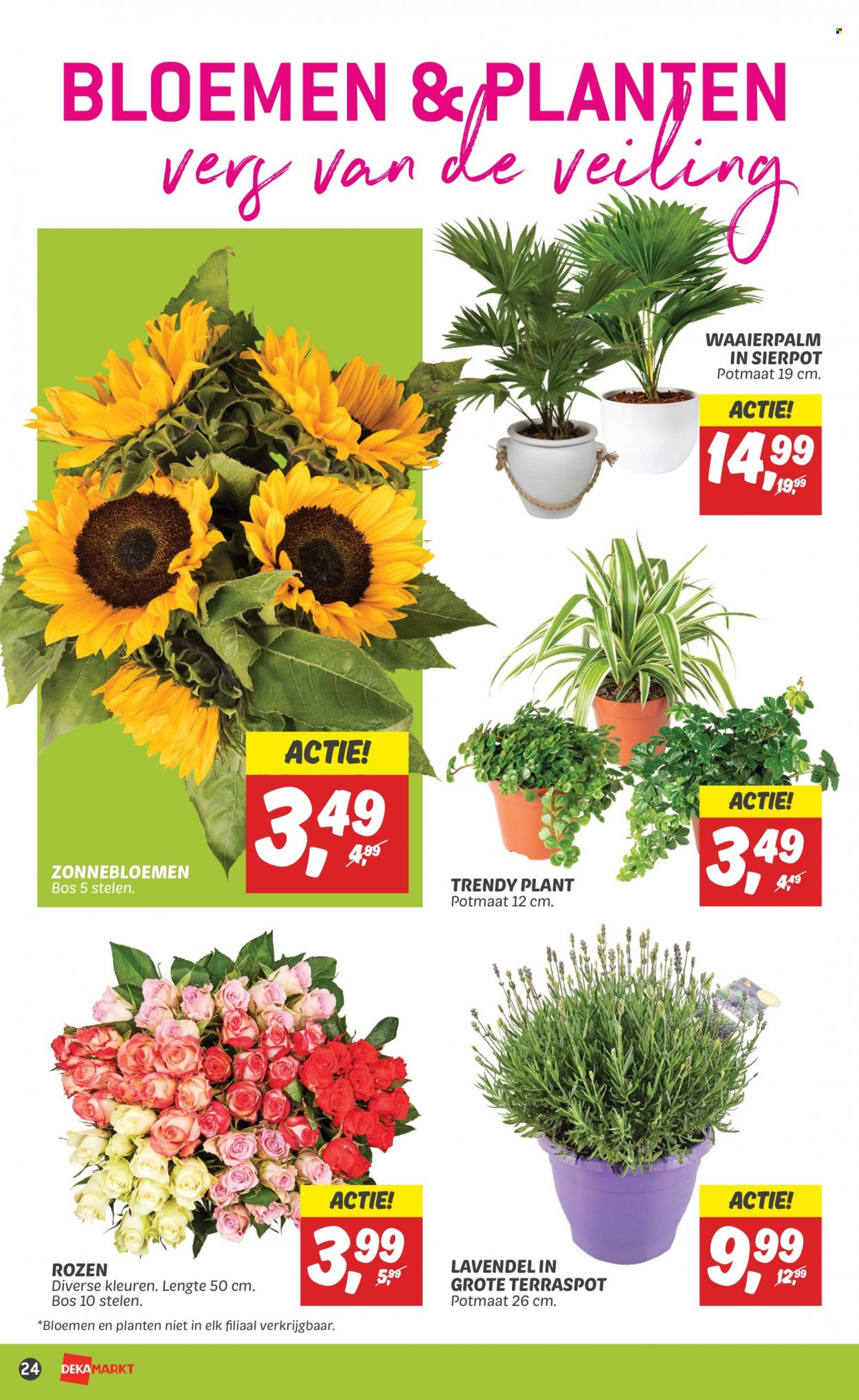 DekaMarkt-aanbieding - 2-7-2023 - 8-7-2023. Pagina 26