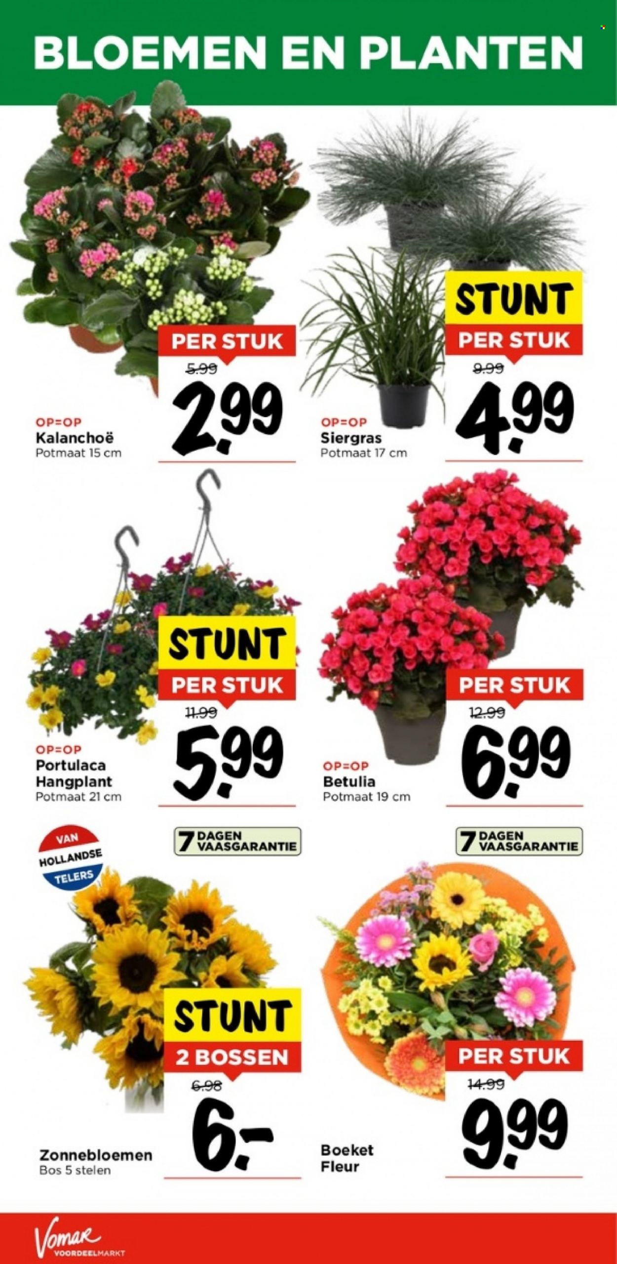 Vomar-aanbieding - 2-7-2023 - 8-7-2023. Pagina 23