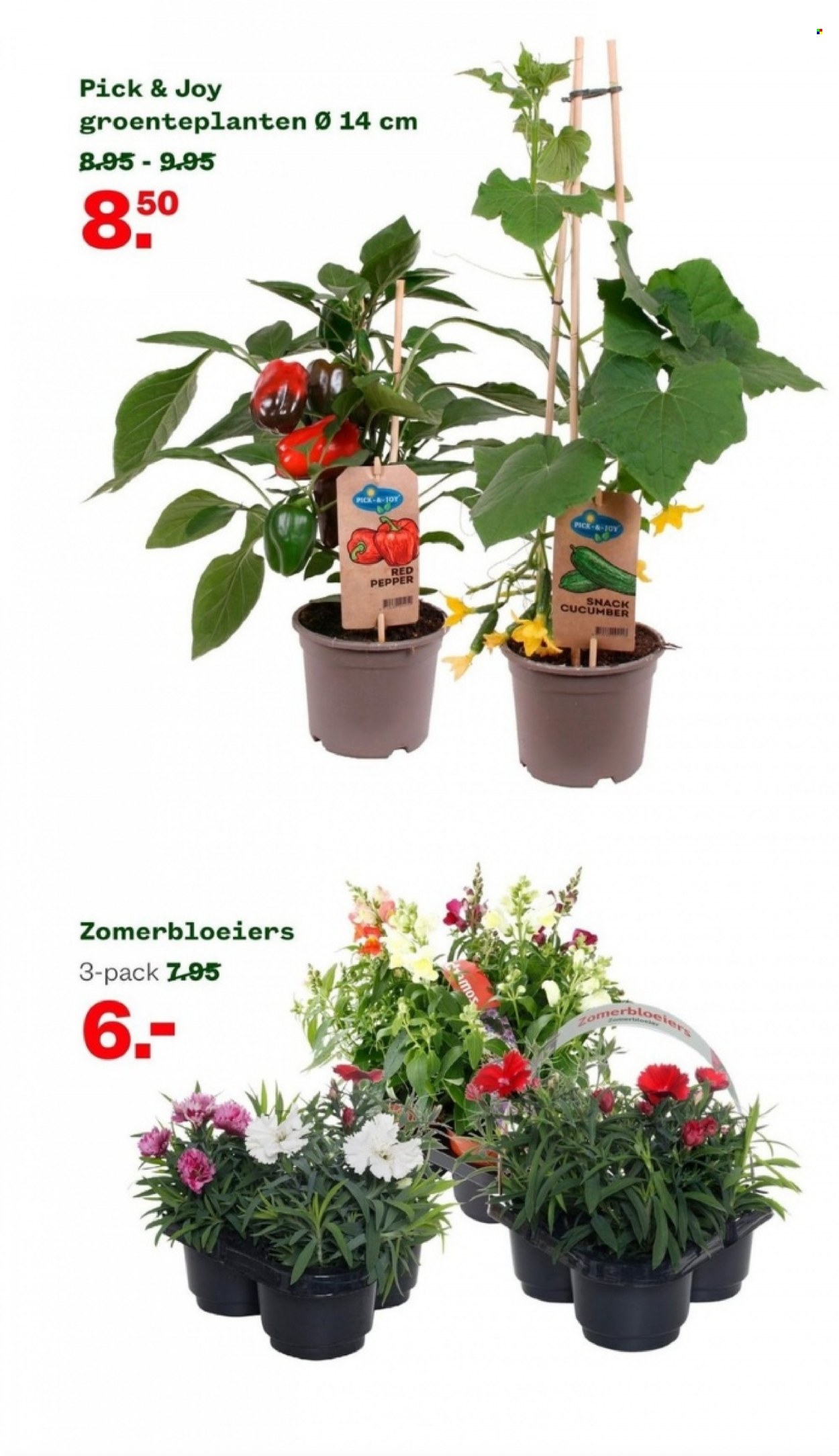 Welkoop-aanbieding - 3-7-2023 - 16-7-2023. Pagina 18