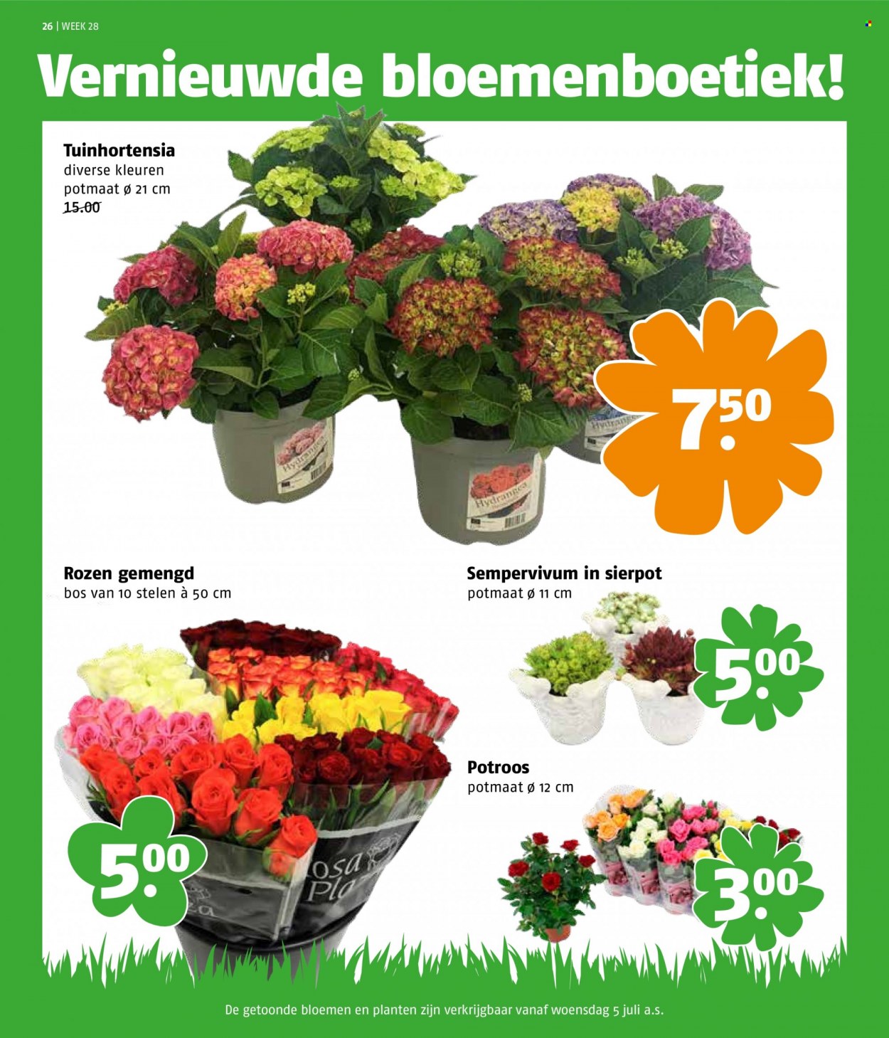 Poiesz-aanbieding - 10-7-2023 - 16-7-2023. Pagina 26