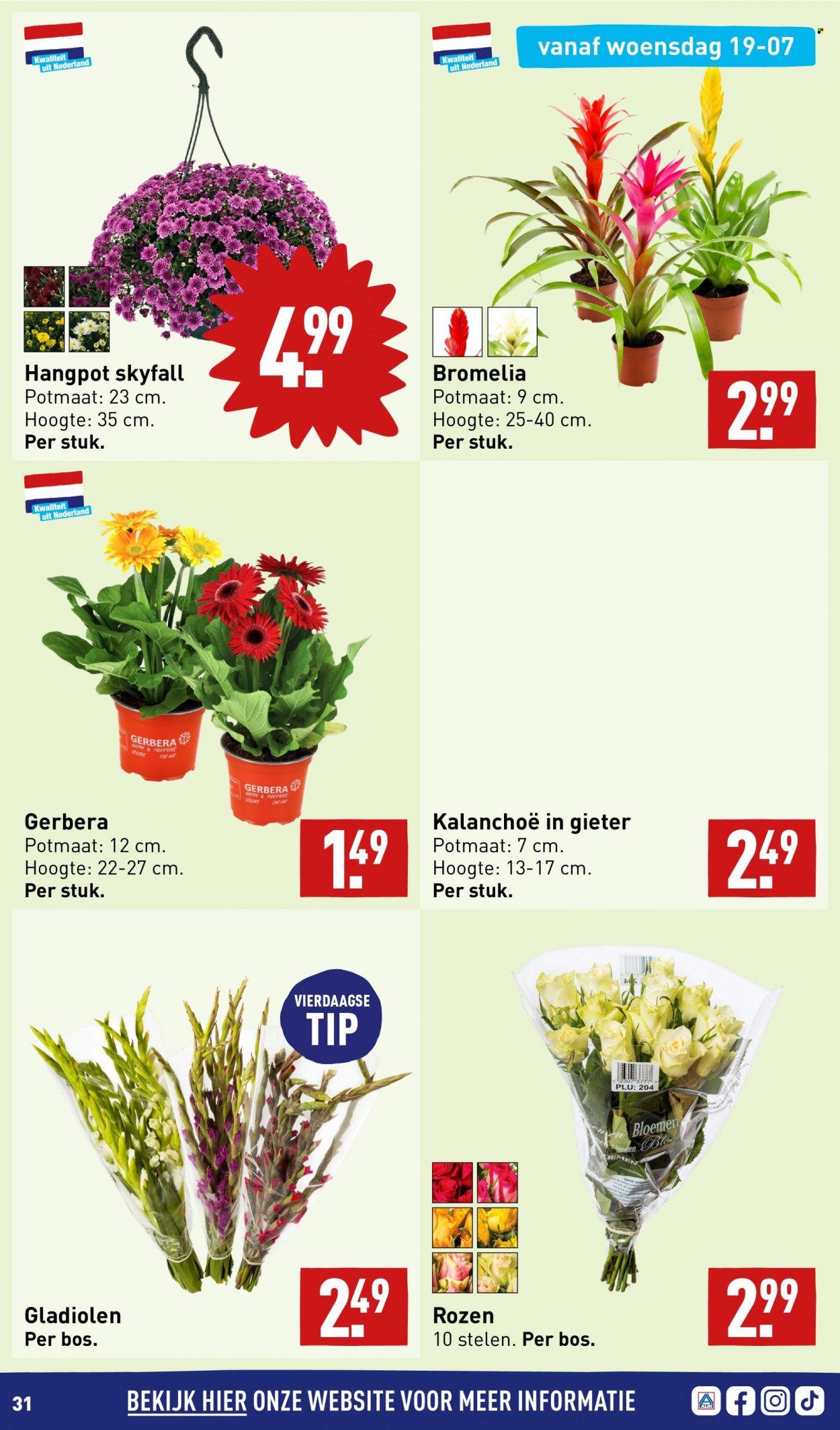 Aldi-aanbieding - 17-7-2023 - 23-7-2023. Pagina 31