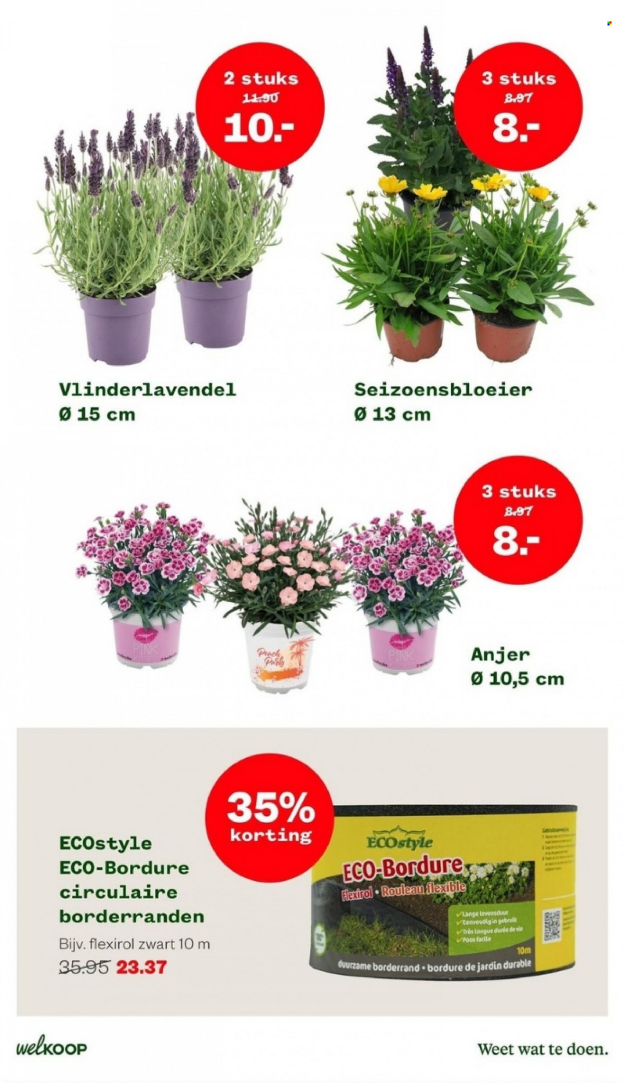 Welkoop-aanbieding - 17-7-2023 - 30-7-2023. Pagina 11