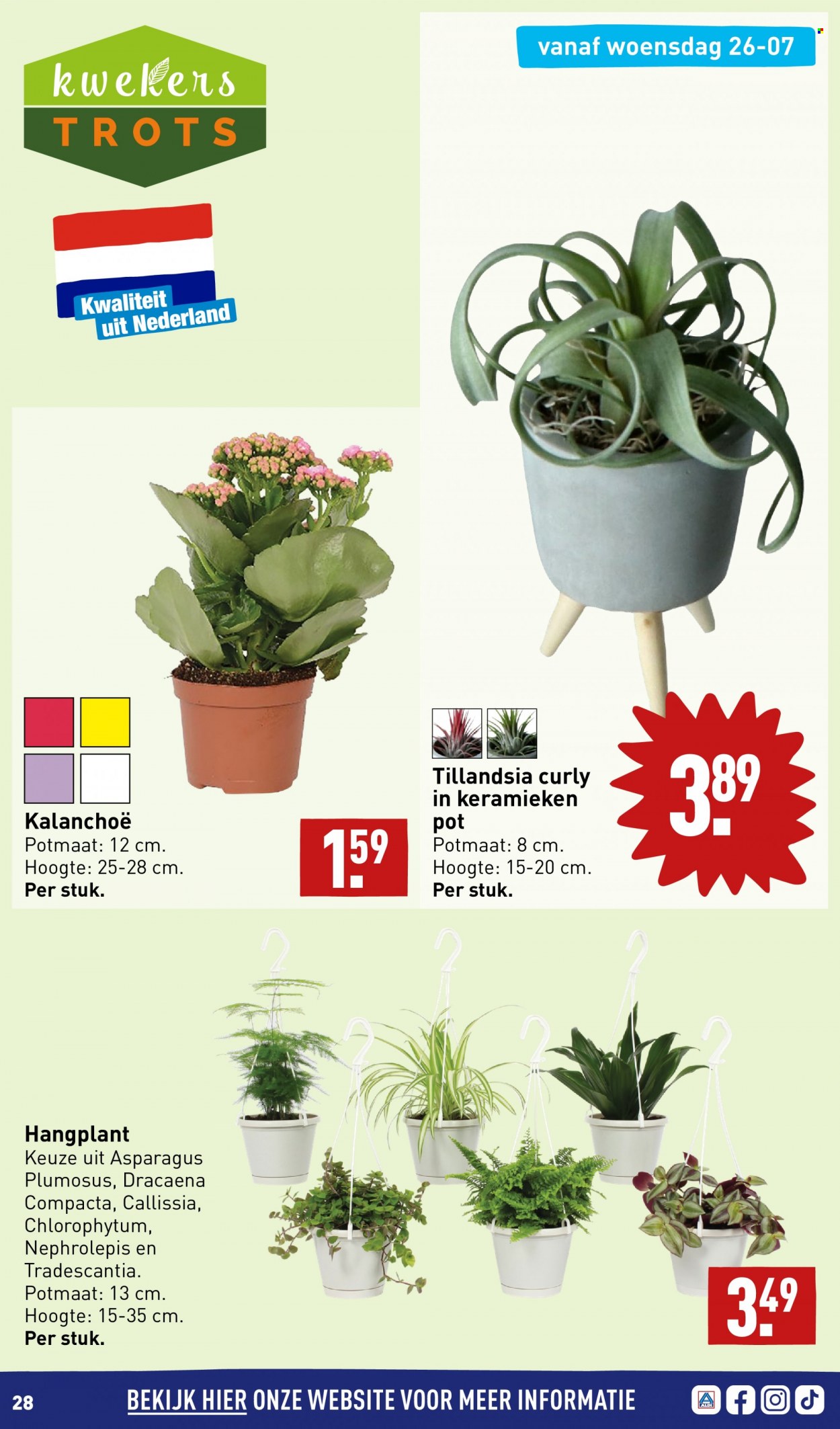 Aldi-aanbieding - 24-7-2023 - 30-7-2023. Pagina 28