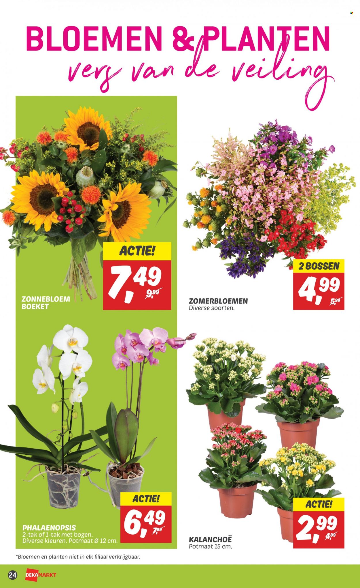 DekaMarkt-aanbieding - 23-7-2023 - 29-7-2023. Pagina 24