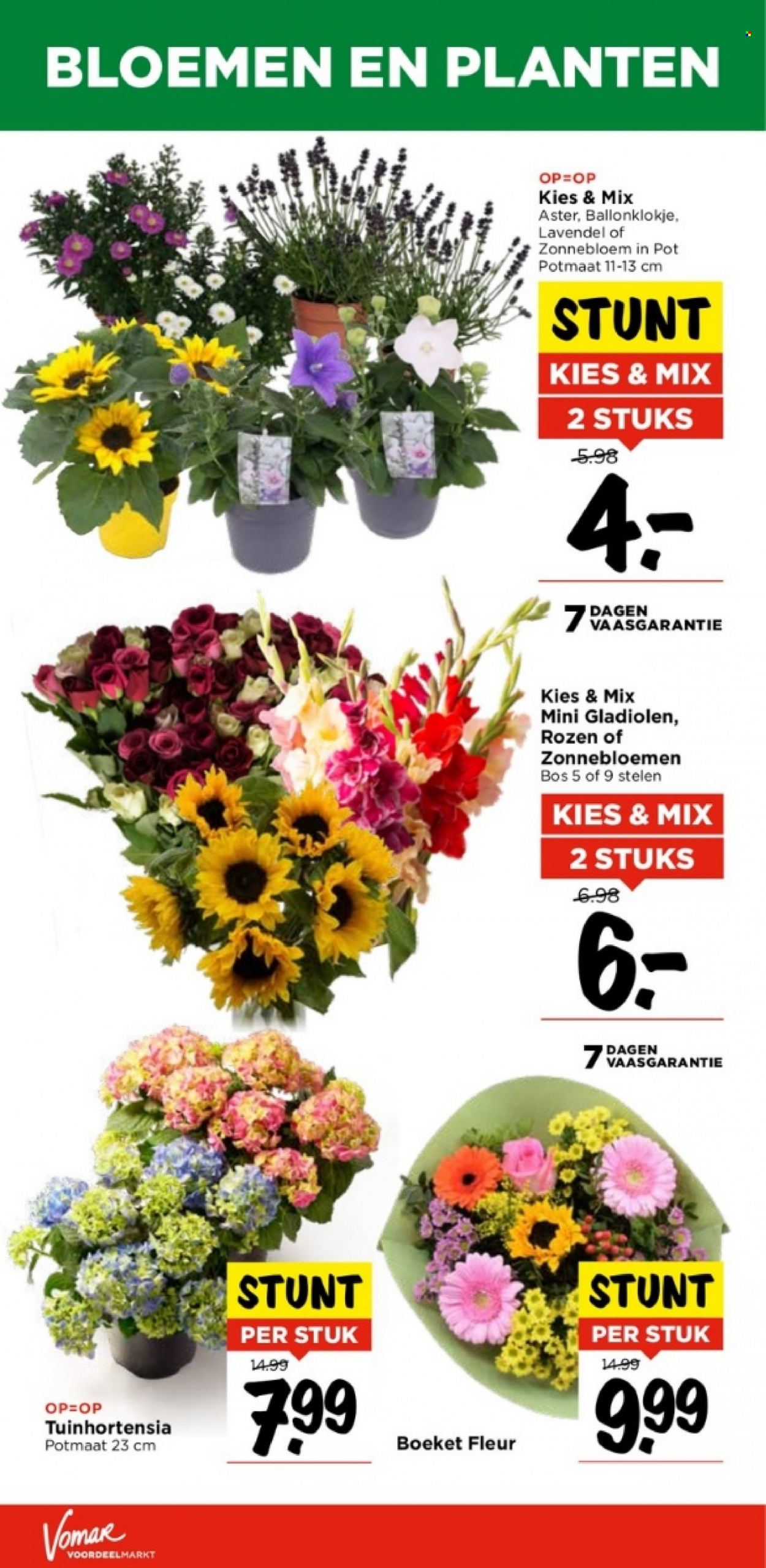Vomar-aanbieding - 23-7-2023 - 29-7-2023. Pagina 20