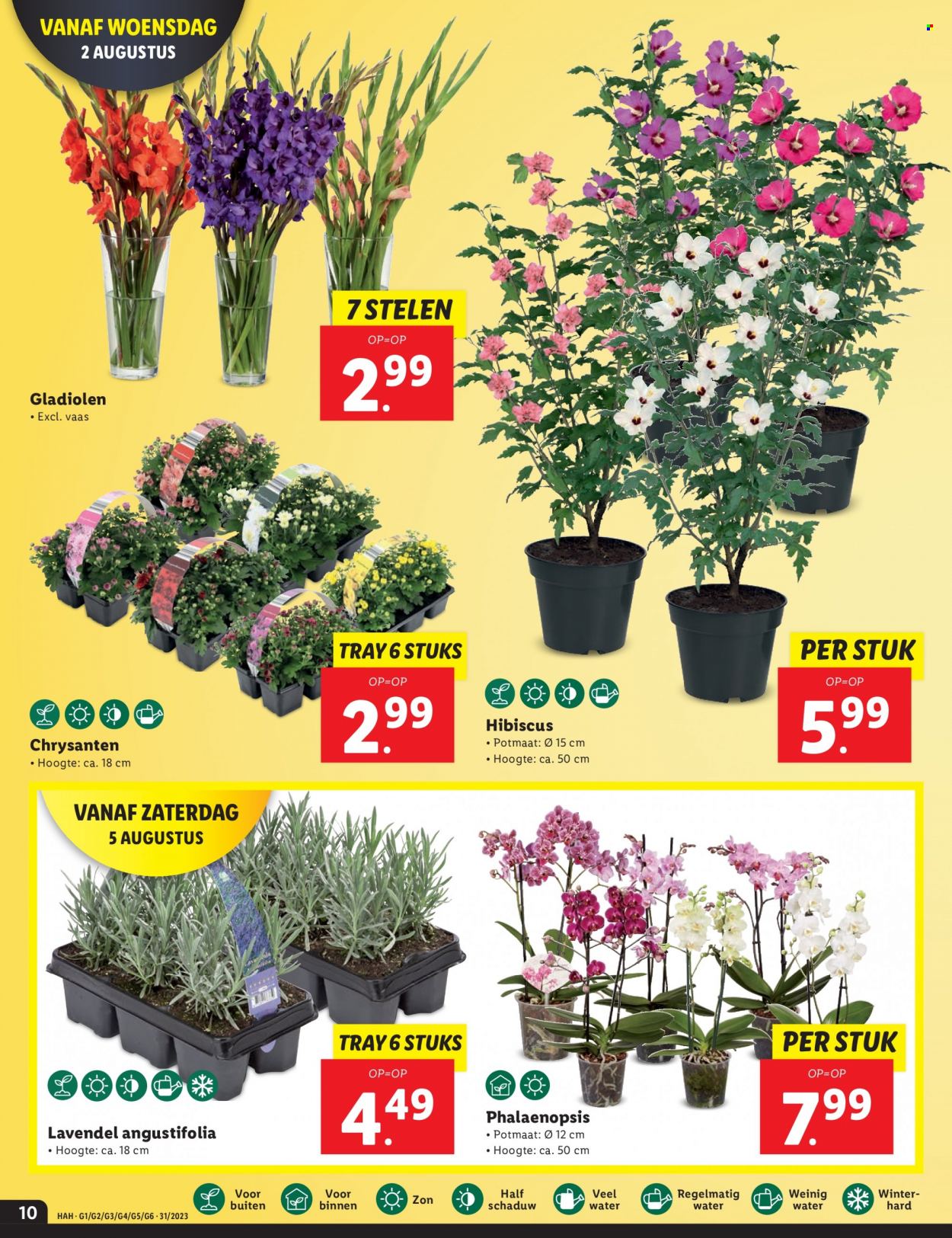 Lidl-aanbieding - 31-7-2023 - 6-8-2023. Pagina 10