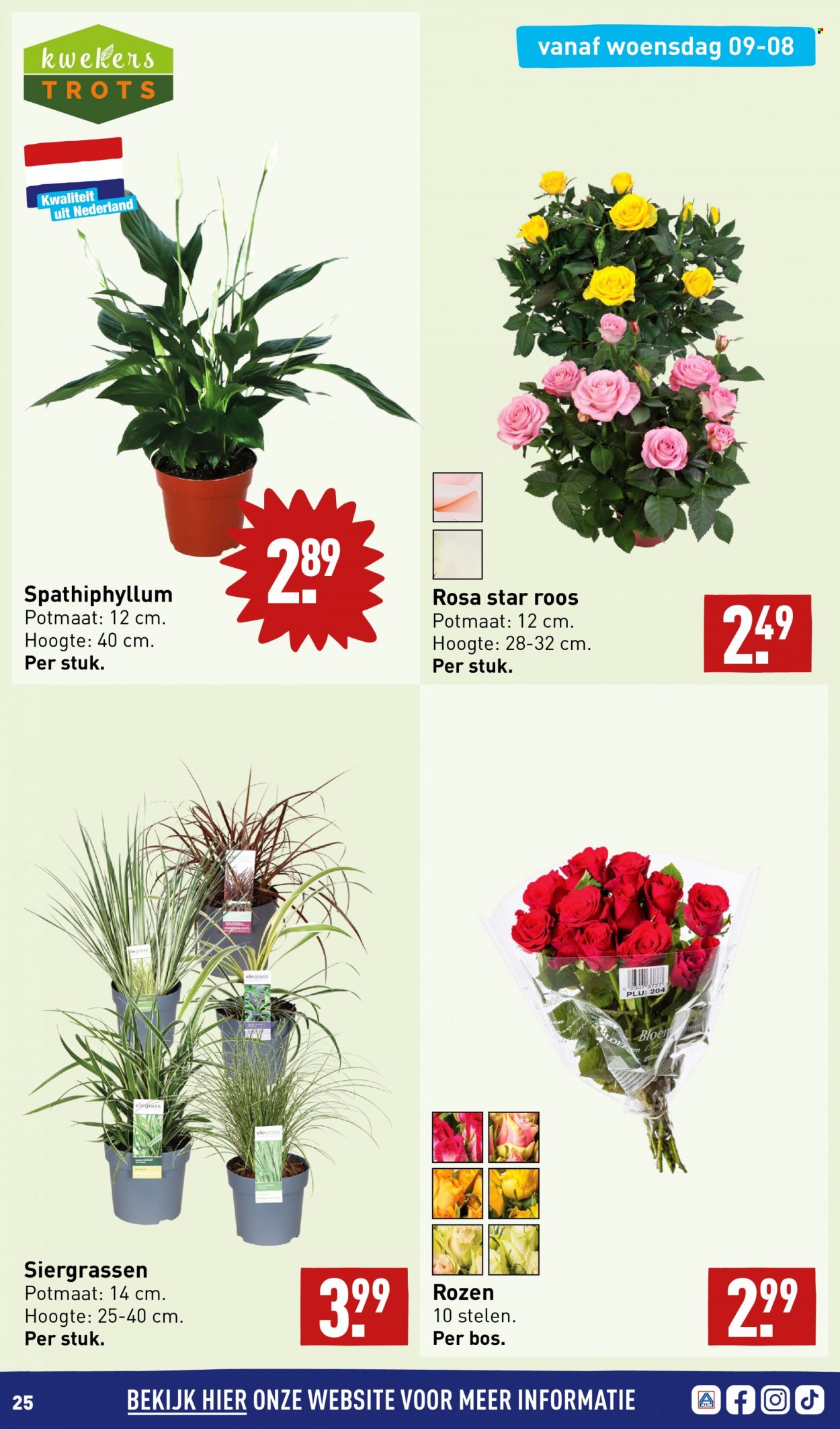 Aldi-aanbieding - 7-8-2023 - 13-8-2023. Pagina 25