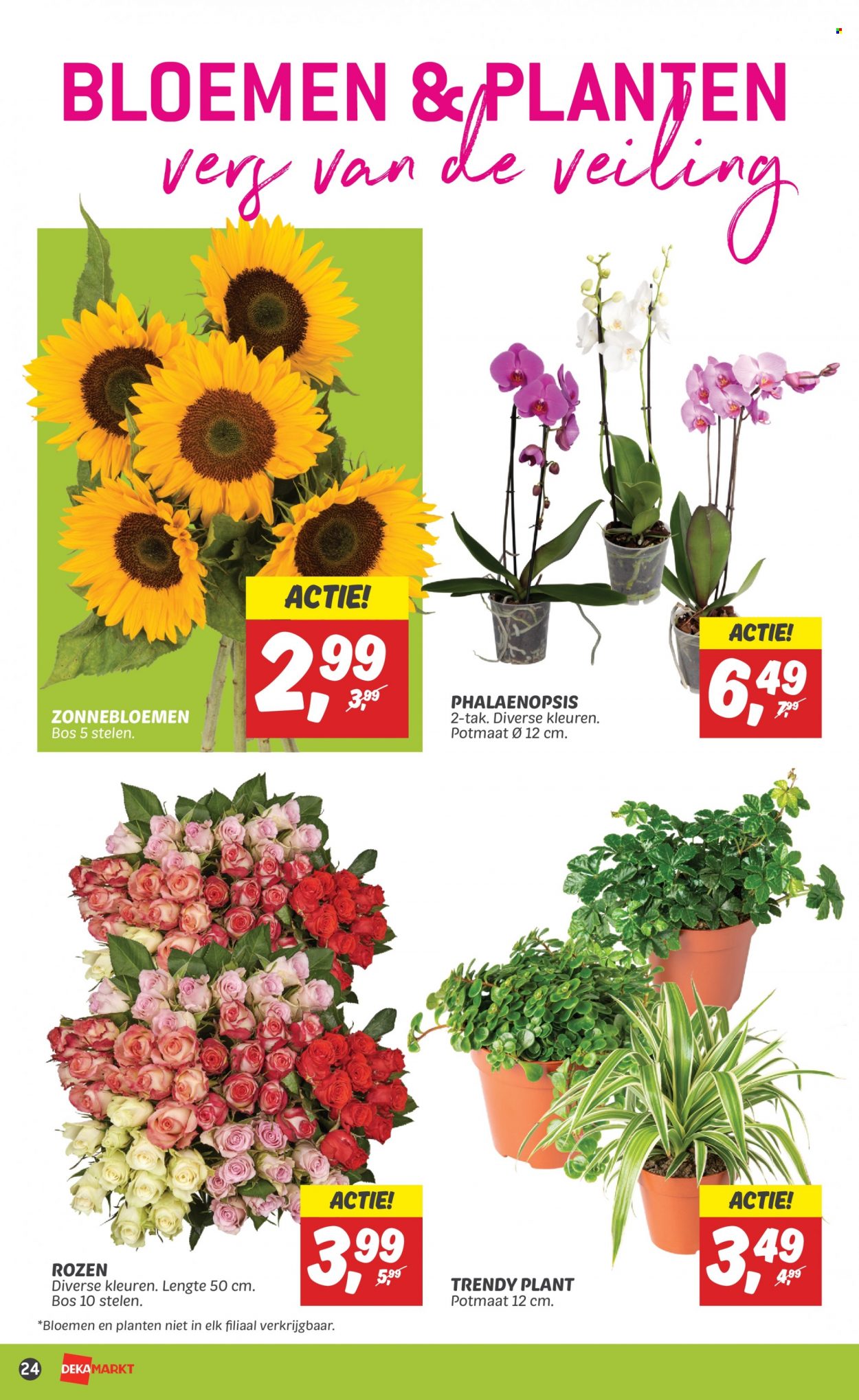DekaMarkt-aanbieding - 13-8-2023 - 19-8-2023. Pagina 26