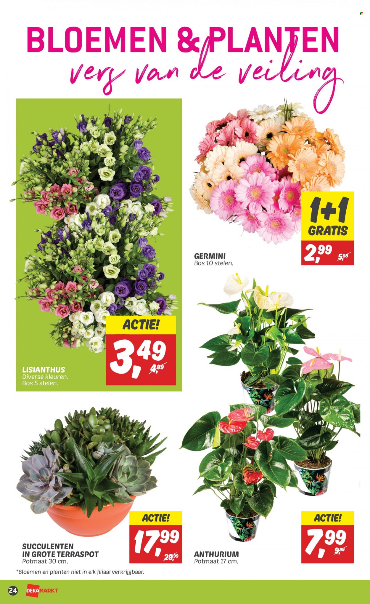 DekaMarkt-aanbieding - 20-8-2023 - 26-8-2023. Pagina 26