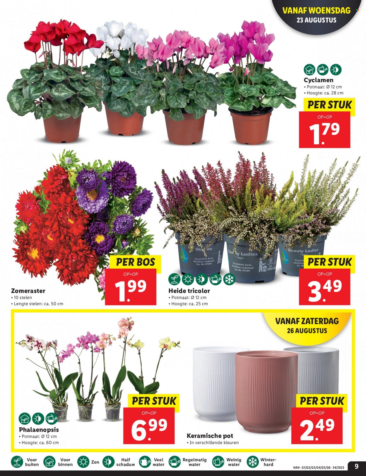 Lidl-aanbieding - 21-8-2023 - 27-8-2023. Pagina 9