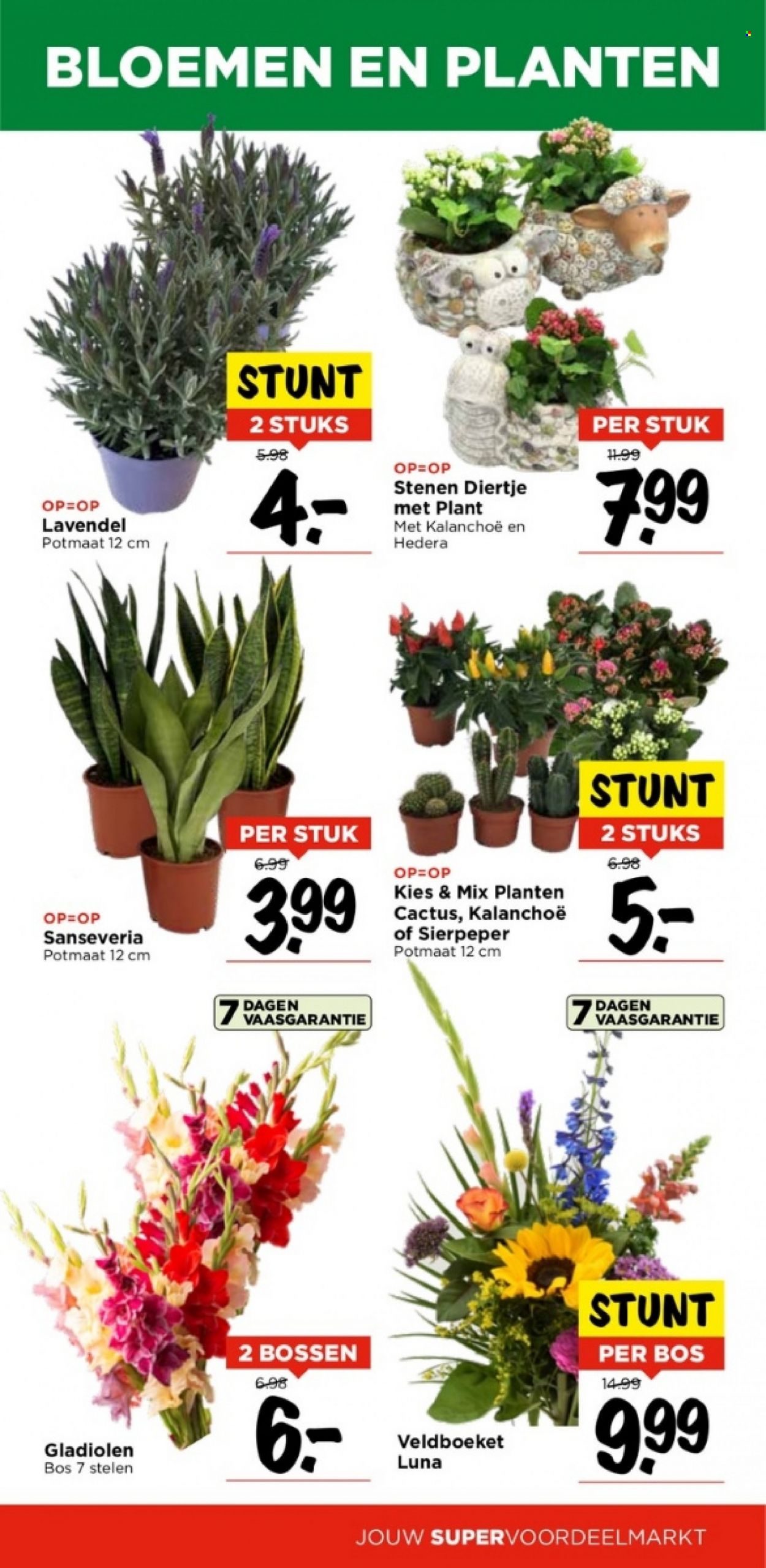 Vomar-aanbieding - 17-8-2023 - 19-8-2023. Pagina 34