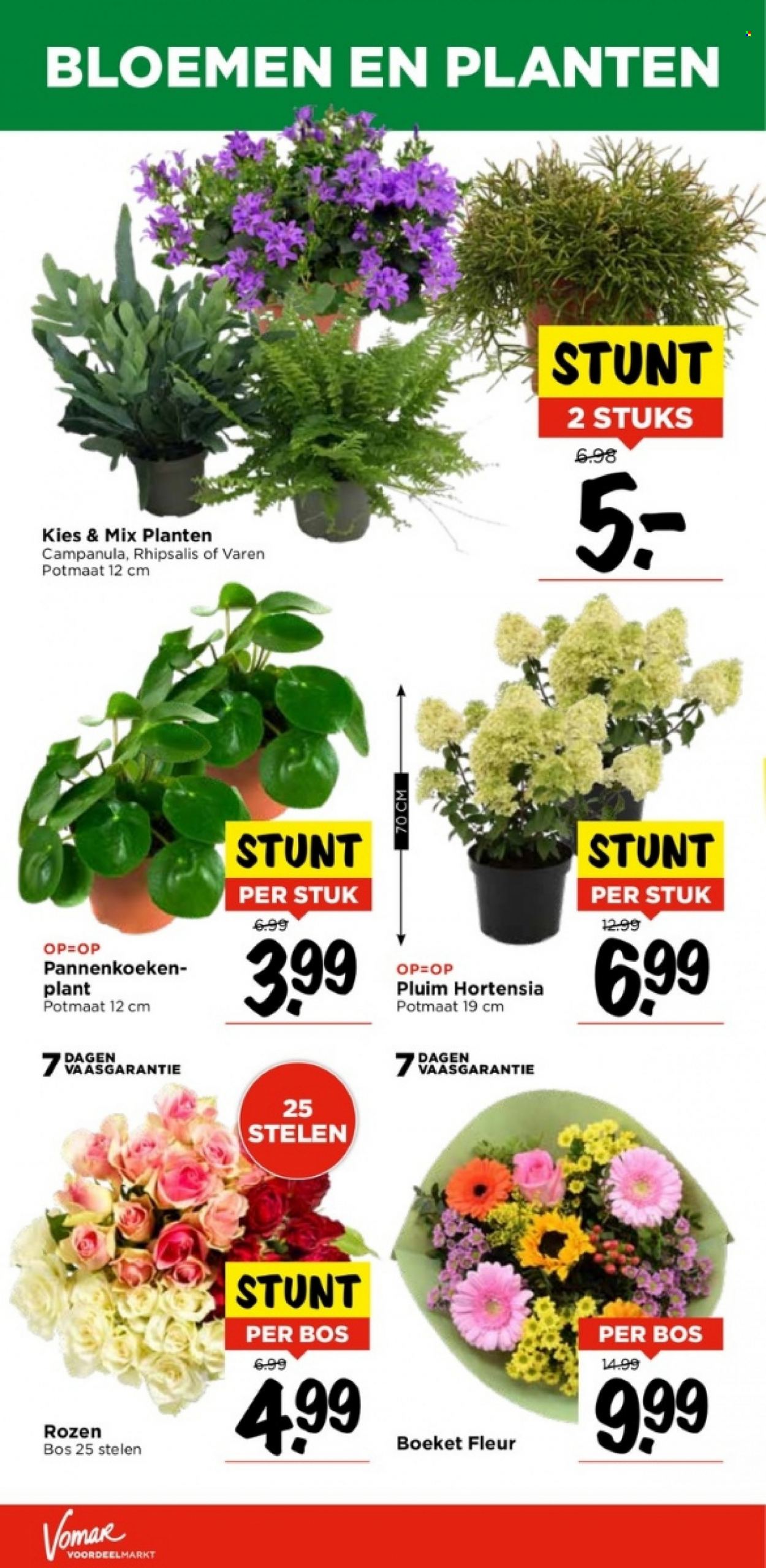 Vomar-aanbieding - 20-8-2023 - 26-8-2023. Pagina 25