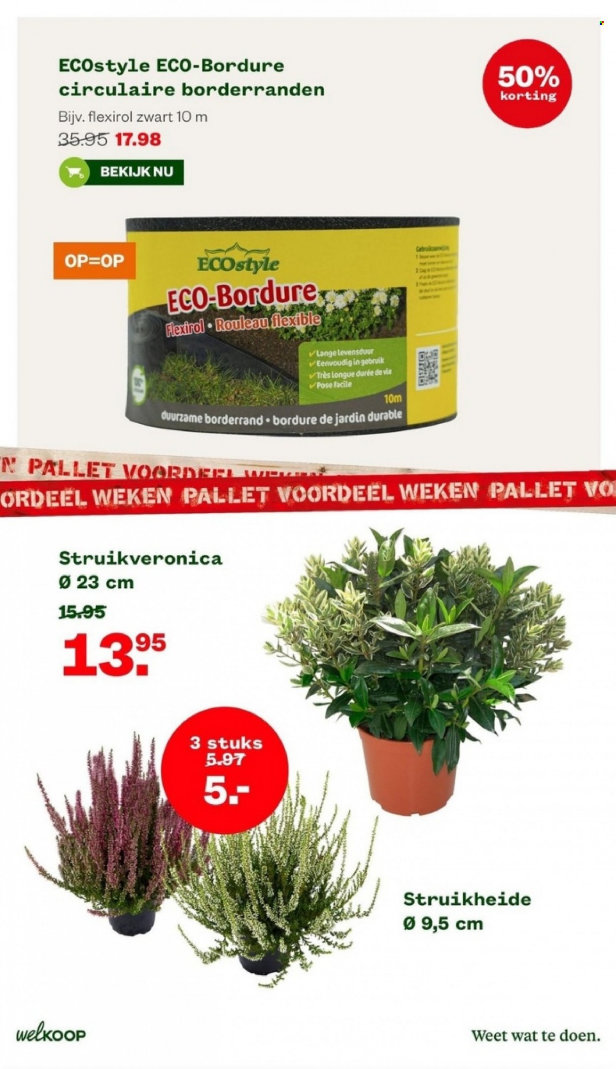 Welkoop-aanbieding - 21-8-2023 - 3-9-2023. Pagina 3