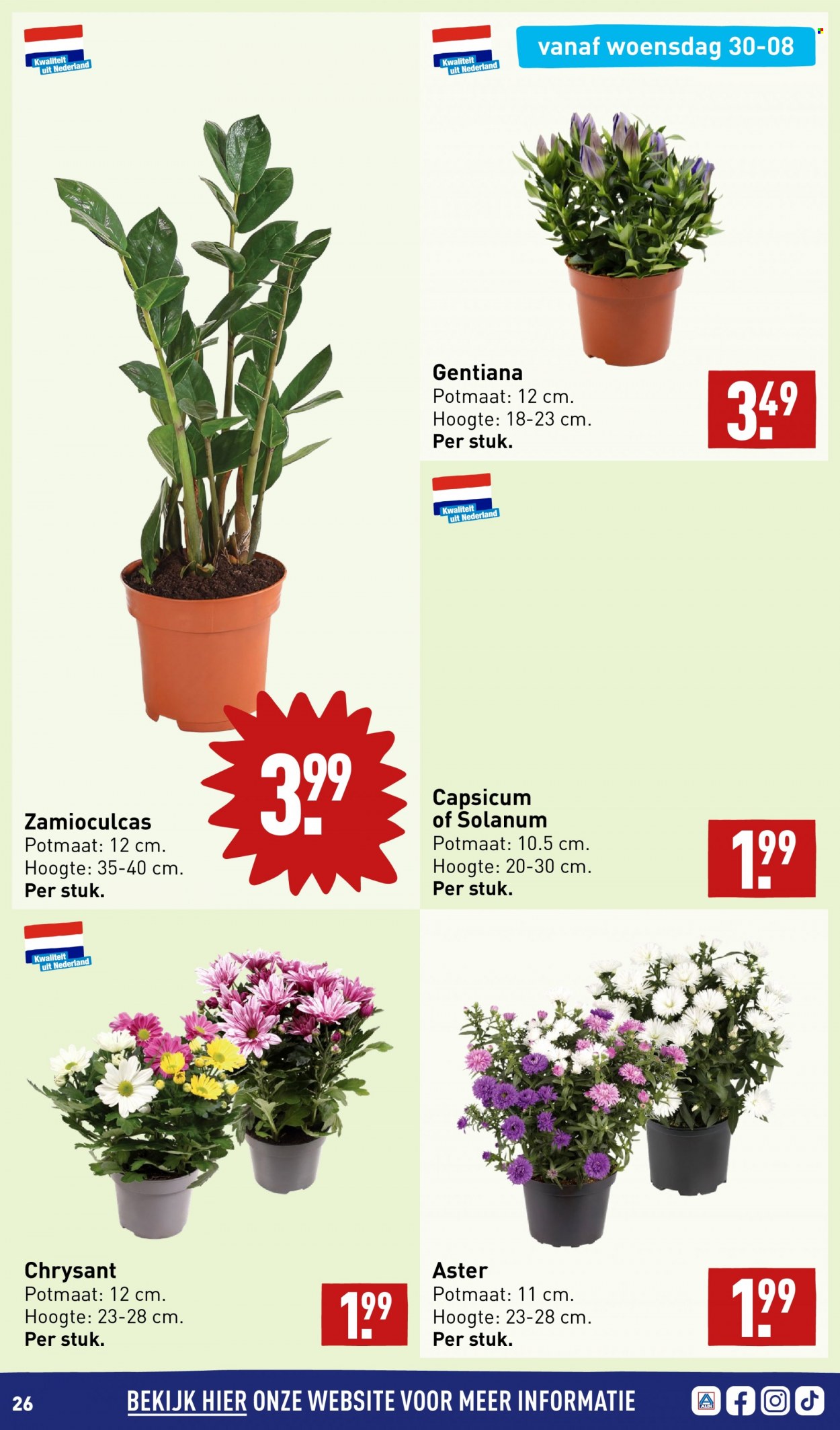 Aldi-aanbieding - 28-8-2023 - 3-9-2023. Pagina 26