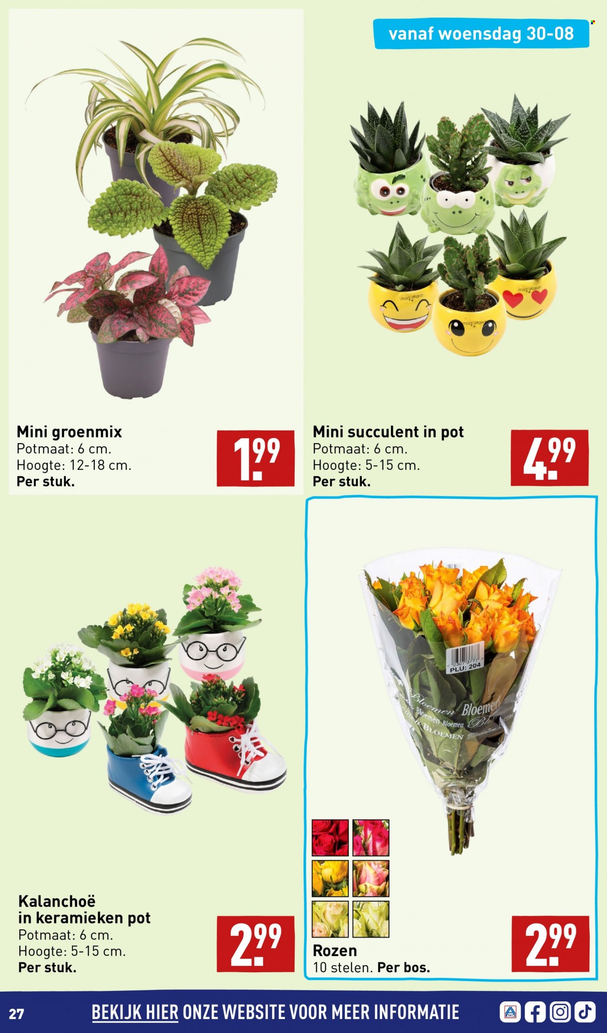 Aldi-aanbieding - 28-8-2023 - 3-9-2023. Pagina 27