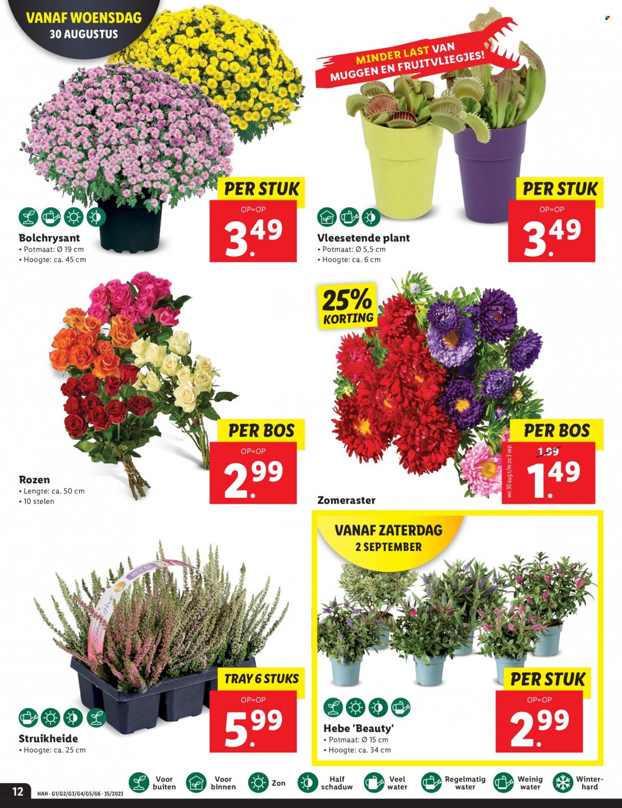 Lidl-aanbieding - 28-8-2023 - 3-9-2023. Pagina 12