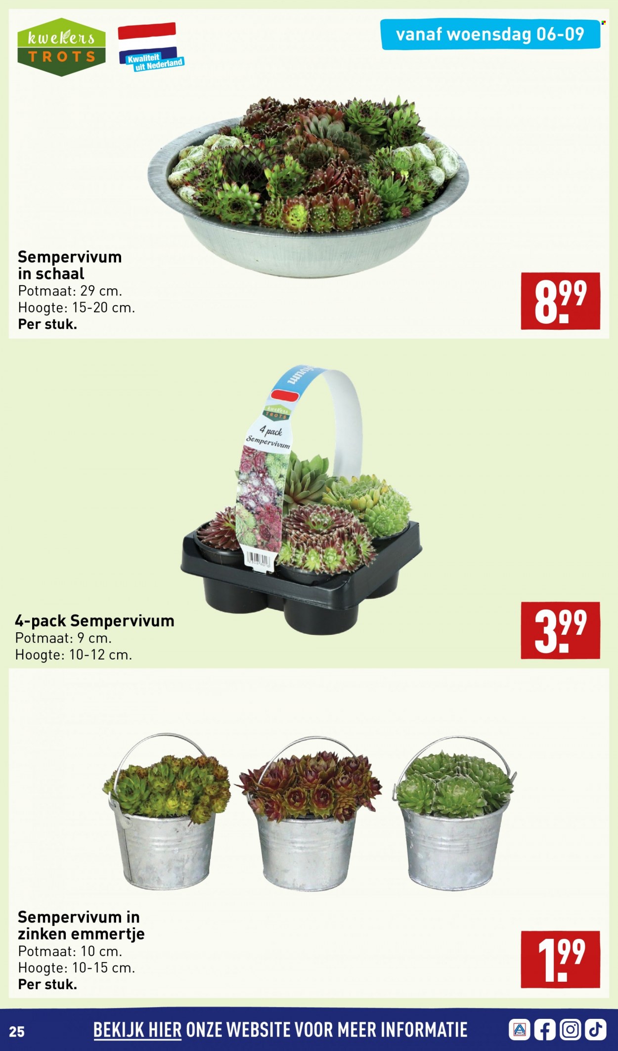 Aldi-aanbieding - 4-9-2023 - 10-9-2023. Pagina 25
