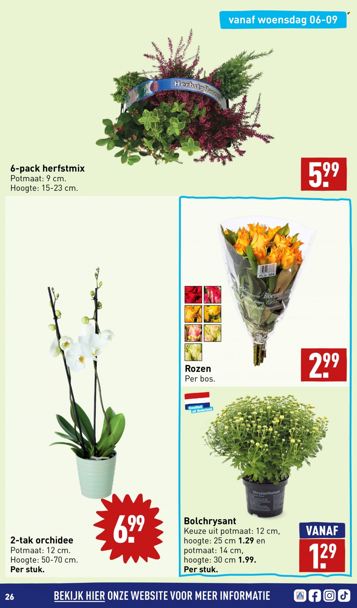 Aldi-aanbieding - 4-9-2023 - 10-9-2023. Pagina 26