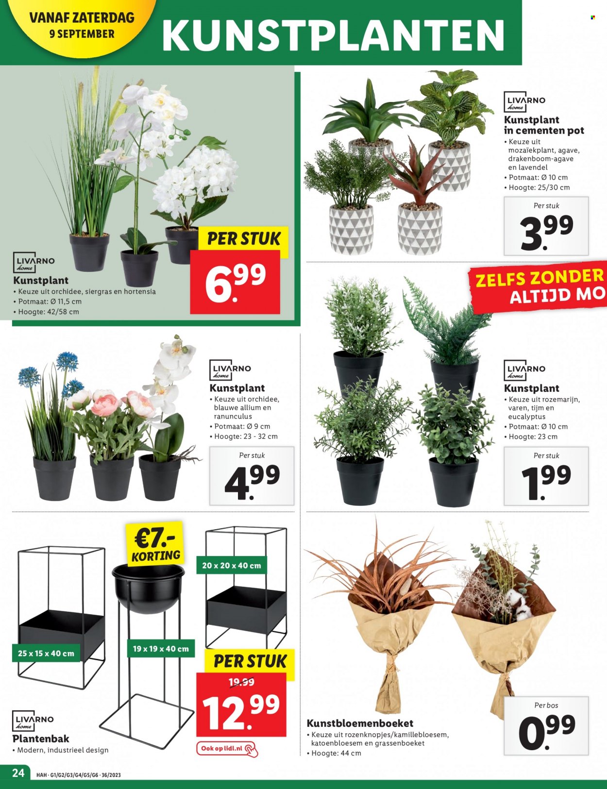 Lidl-aanbieding - 4-9-2023 - 10-9-2023. Pagina 26
